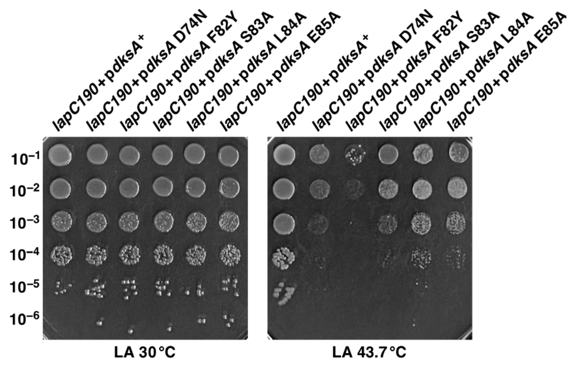 Ijms 24 15174 g010 Ijms 24 15174 g010