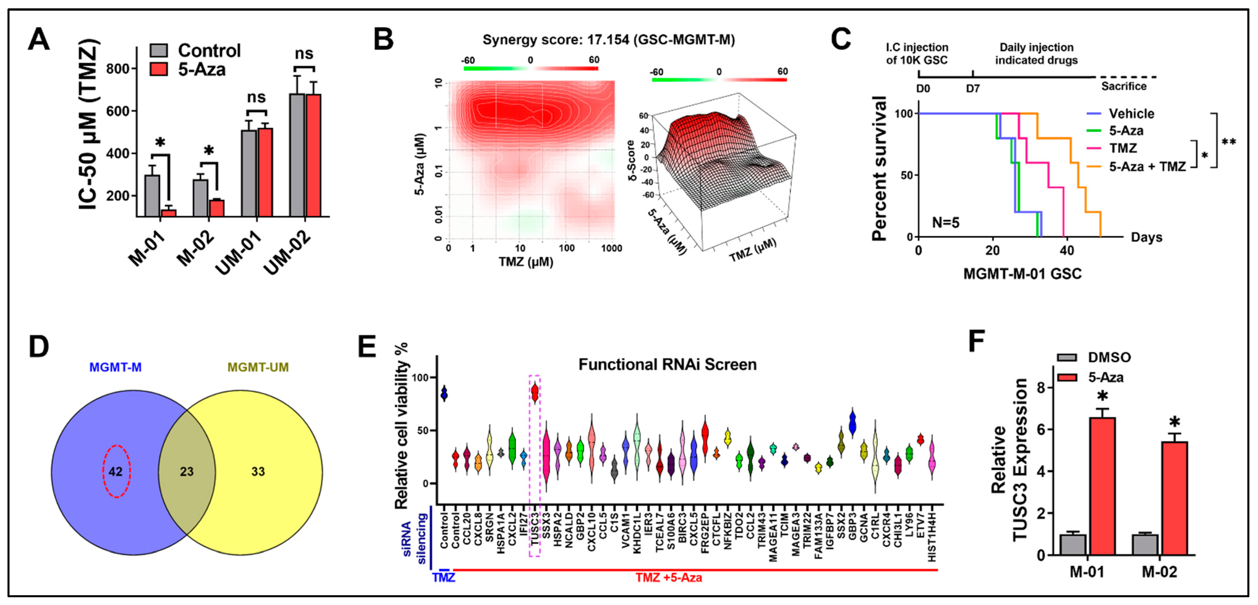 Epigenetic Activation of TUSC3 Sensitizes Glioblastoma to