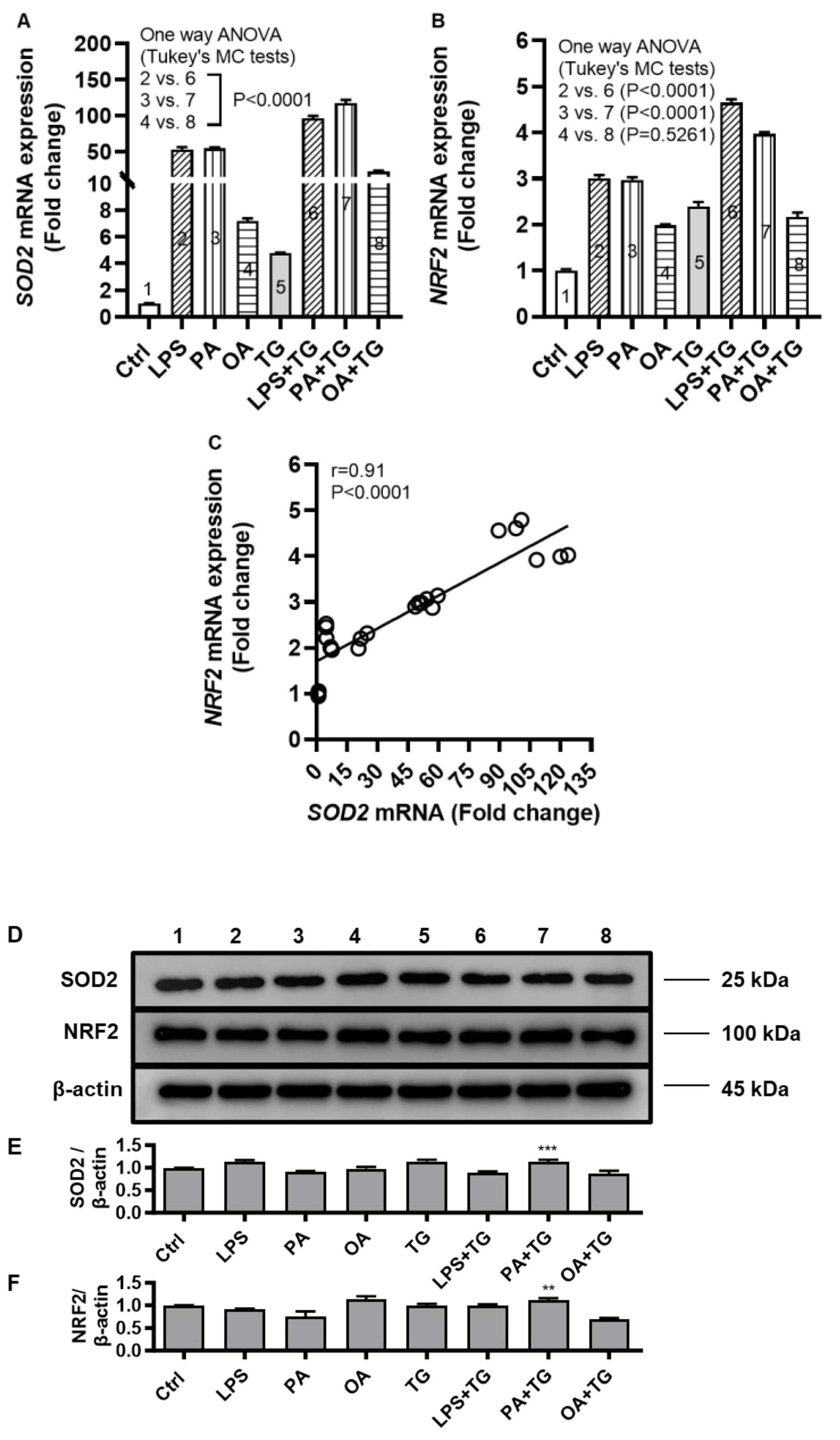 Ijms 24 15186 g004 Ijms 24 15186 g004