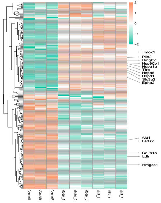 TMT and PRM Based Quantitative Proteomics to Explore the
