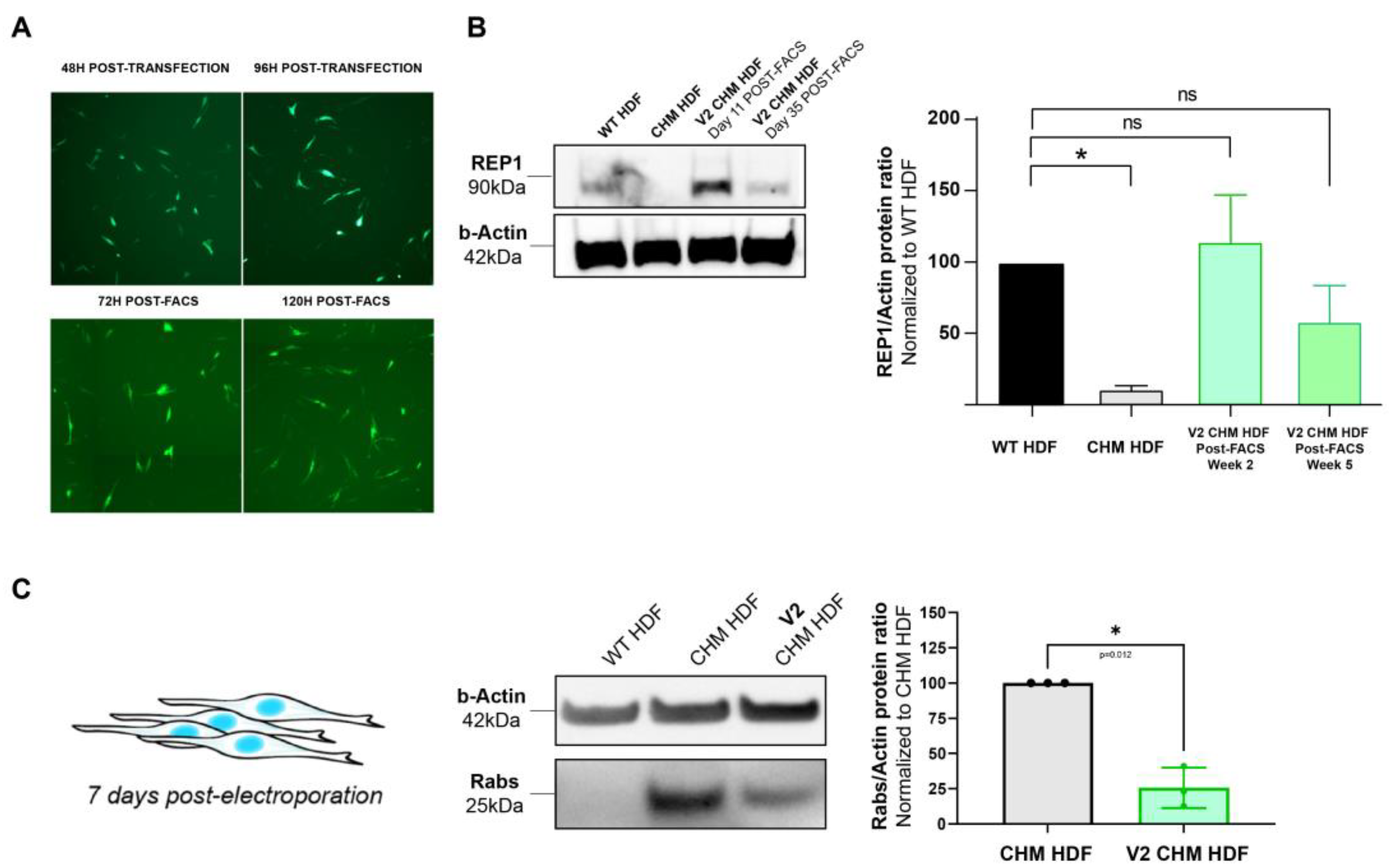 Ijms 24 15225 g002 Ijms 24 15225 g002