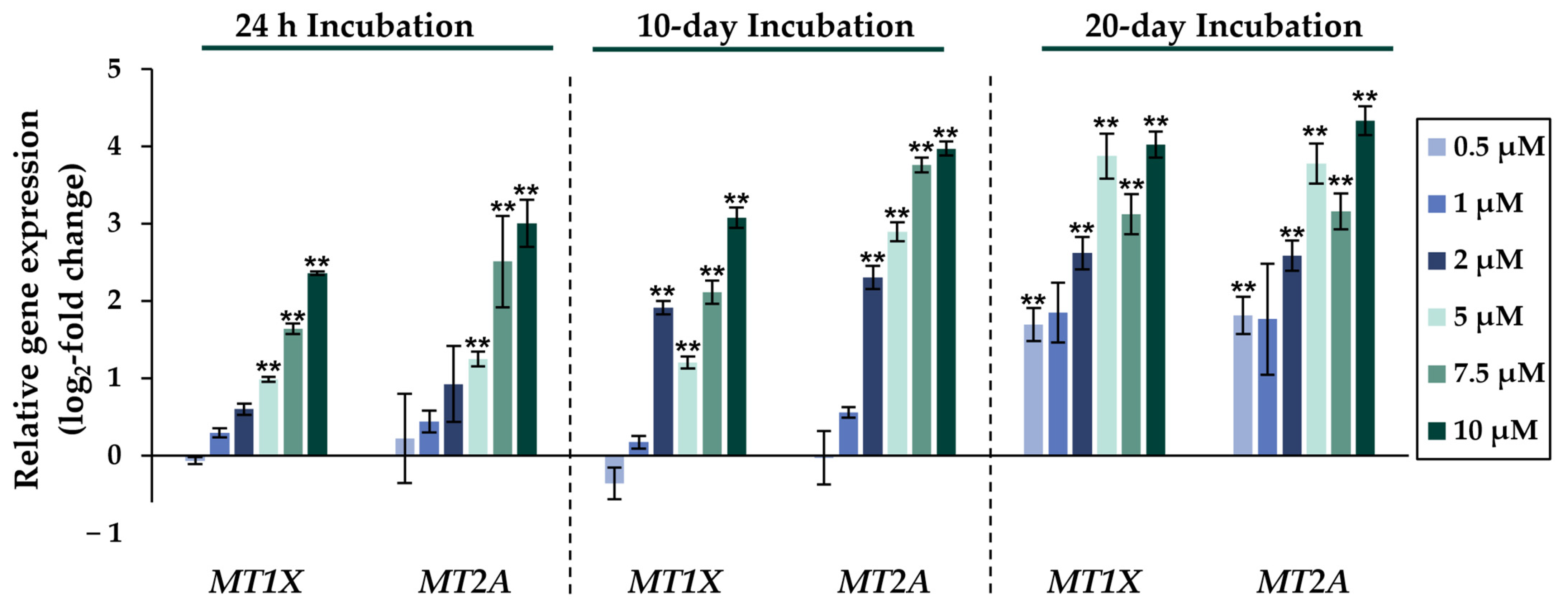 Ijms 24 15238 g002 Ijms 24 15238 g002