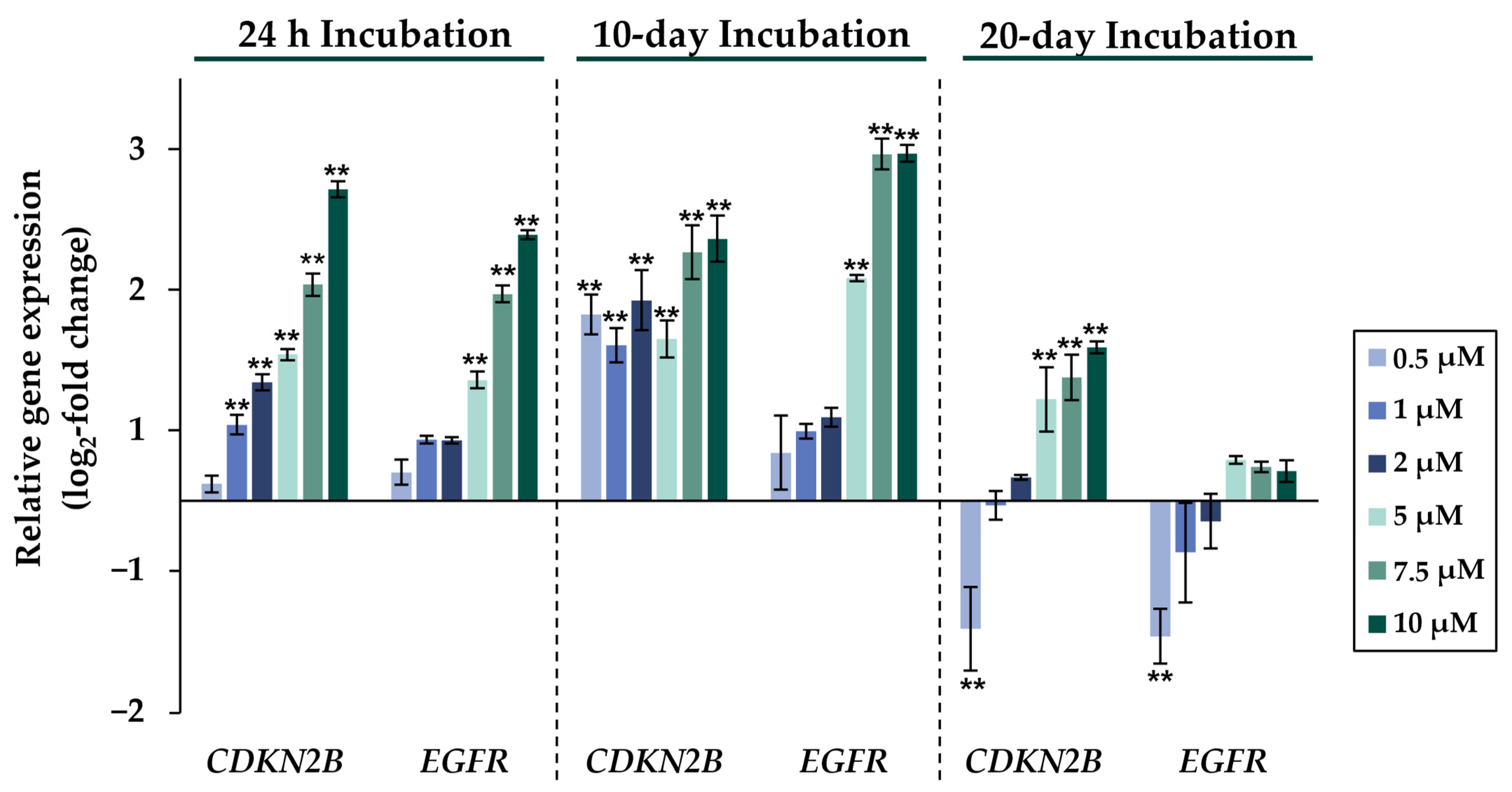 Ijms 24 15238 g004 Ijms 24 15238 g004