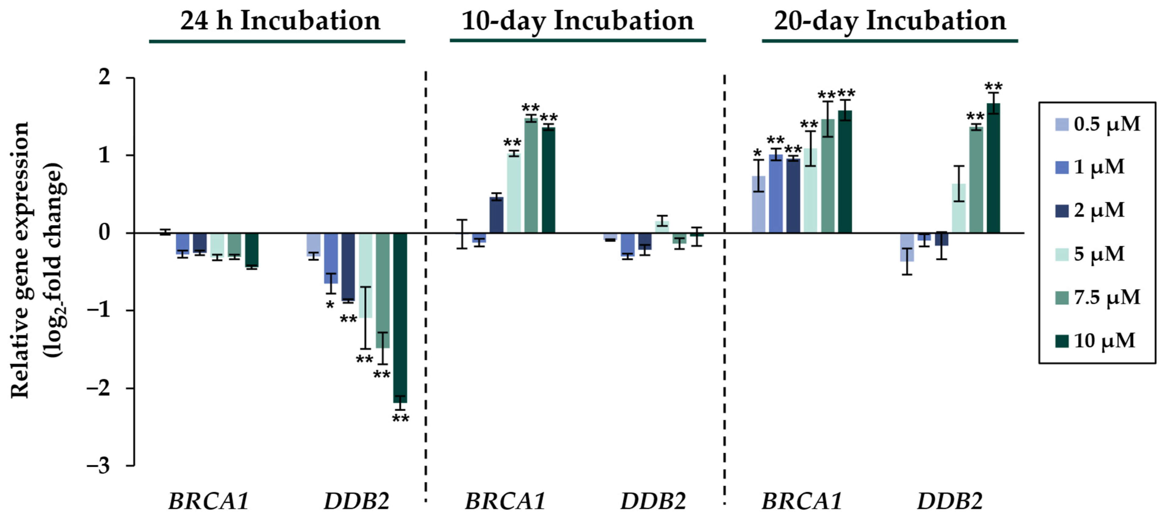 Ijms 24 15238 g005 Ijms 24 15238 g005