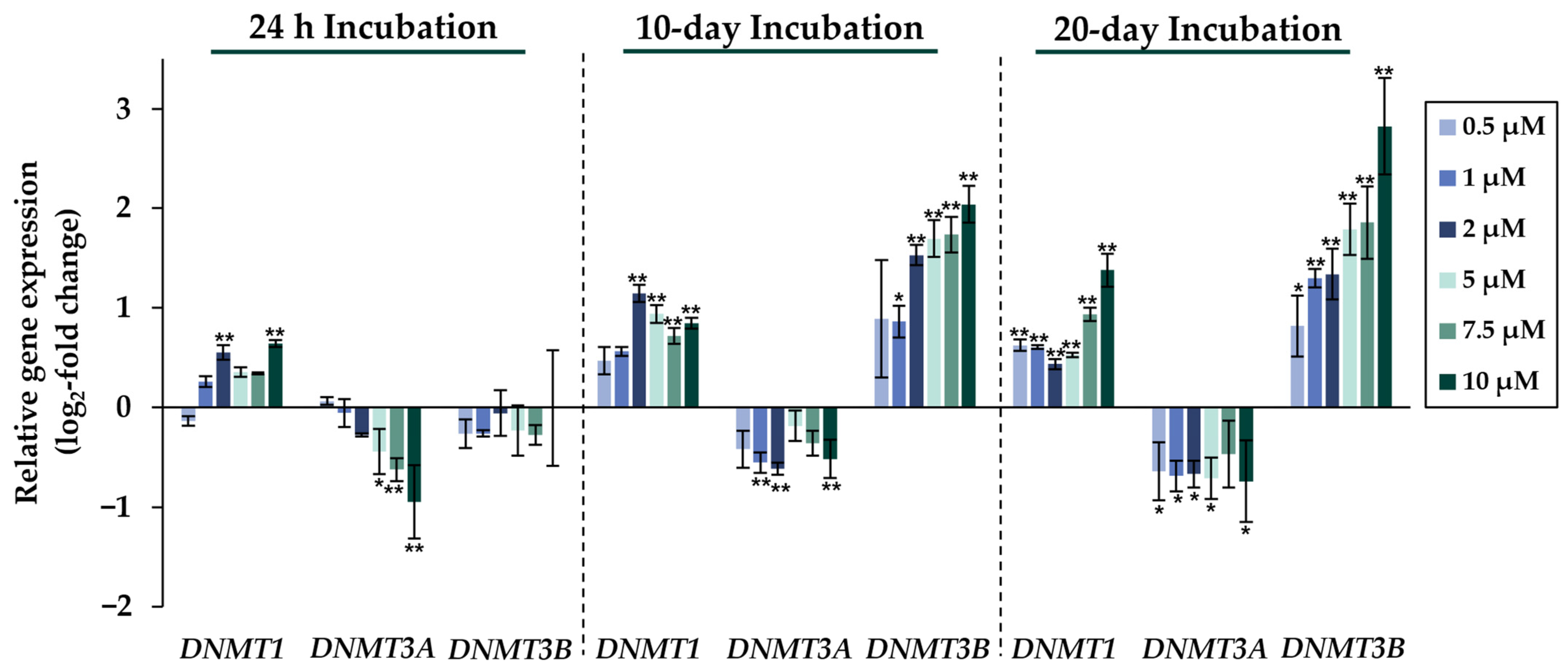 Ijms 24 15238 g006 Ijms 24 15238 g006