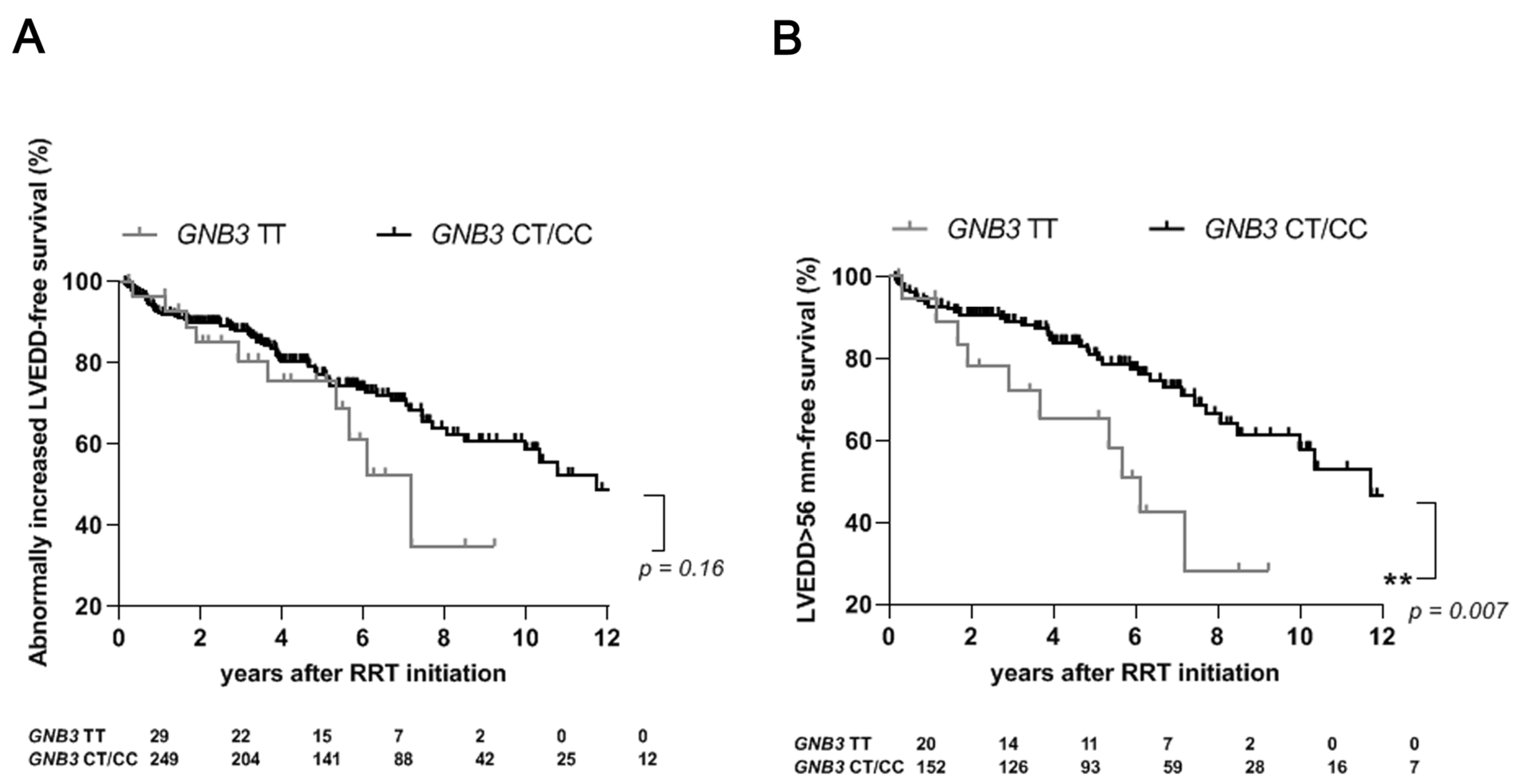 Ijms 24 15260 g002 Ijms 24 15260 g002