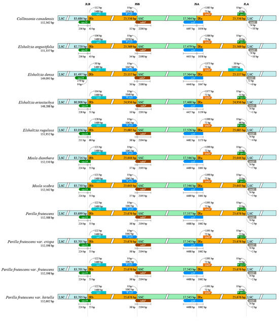 おまとめ３点 3点おまとめ 3点おまとめ 専用❗3点おまとめ ZXまとめて取引ok様