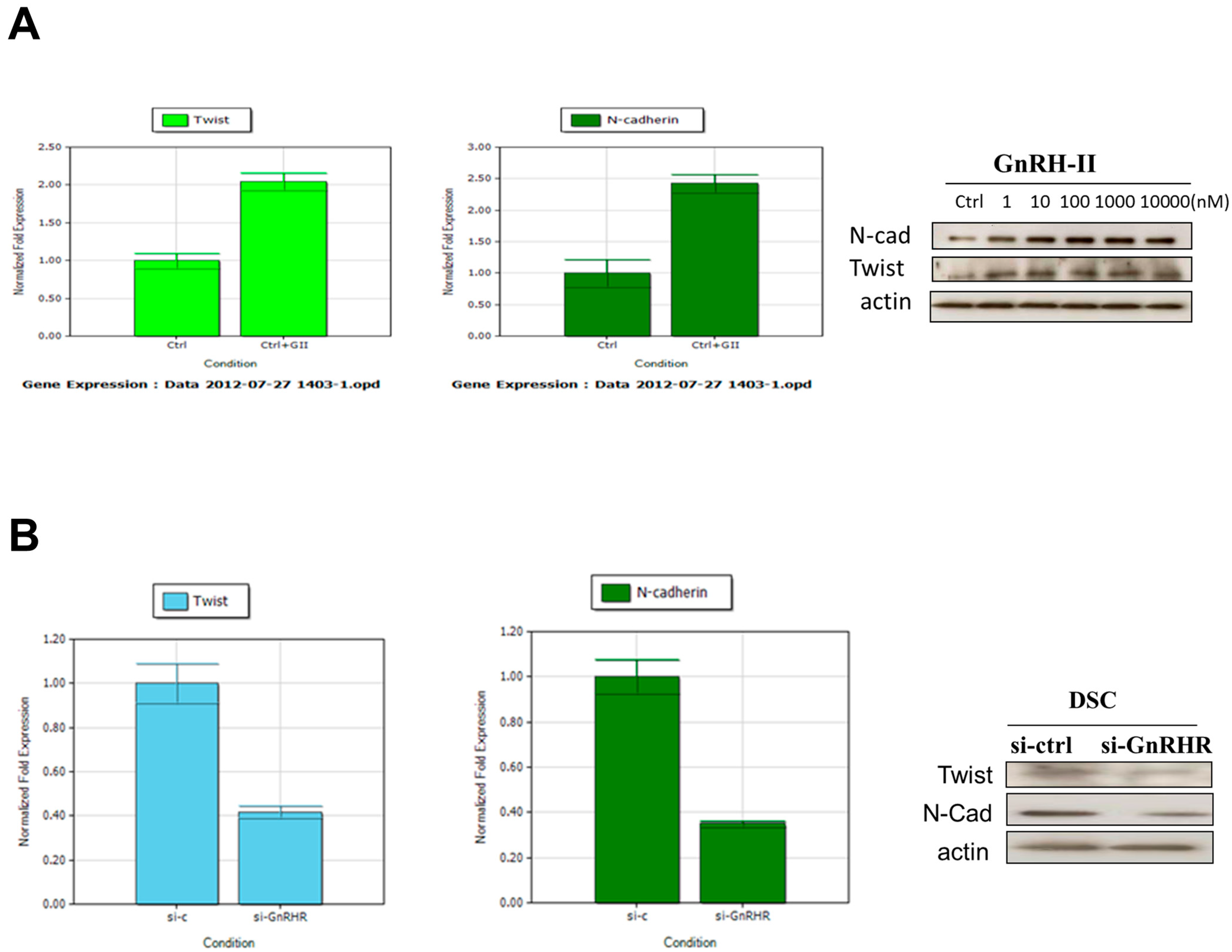 Ijms 24 15271 g007 Ijms 24 15271 g007