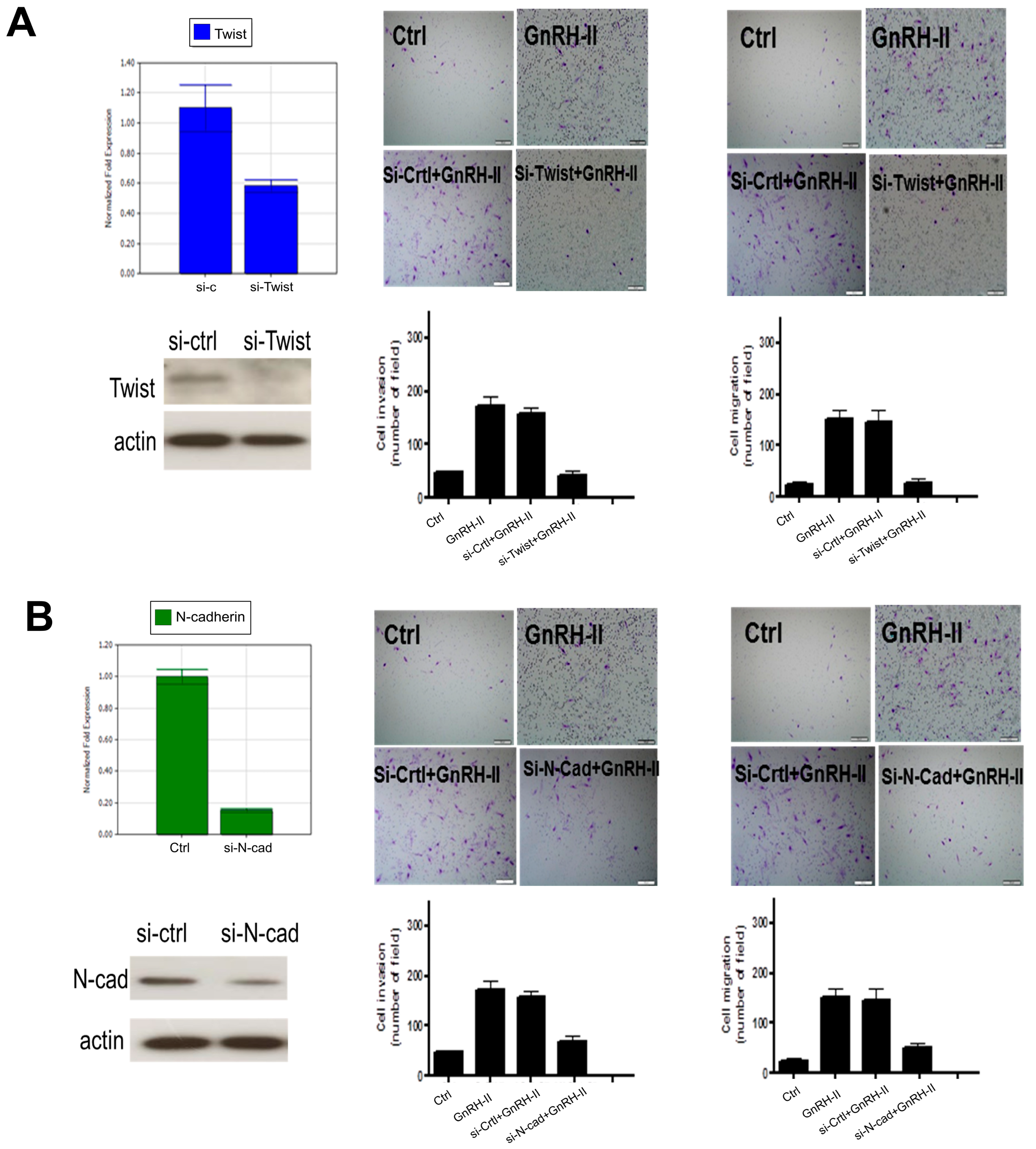 Ijms 24 15271 g008 Ijms 24 15271 g008