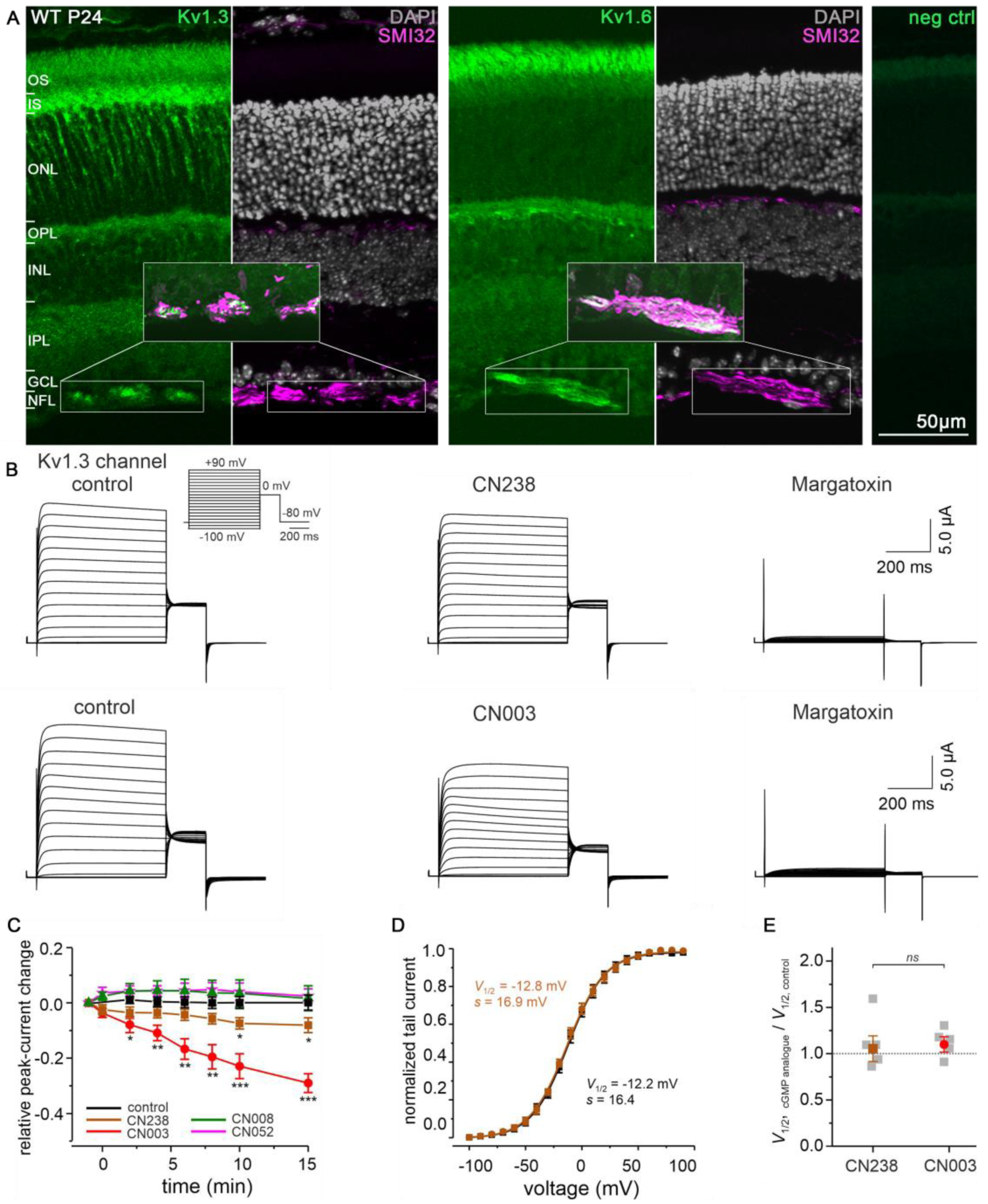 Ijms 24 15277 g004 Ijms 24 15277 g004
