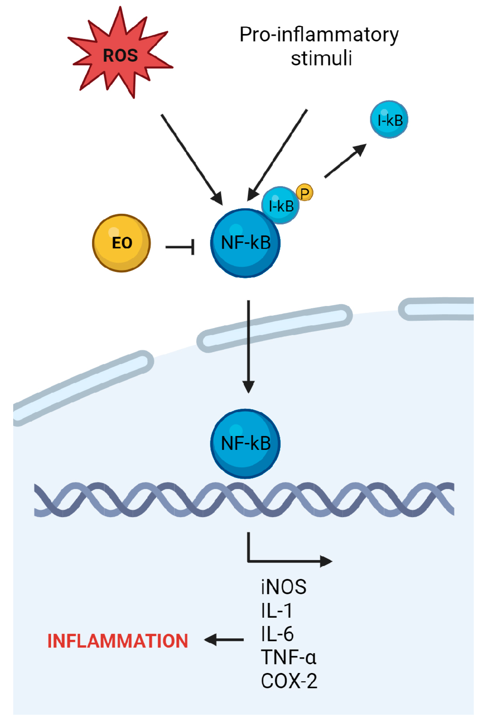 Ijms 24 15279 g002 Ijms 24 15279 g002