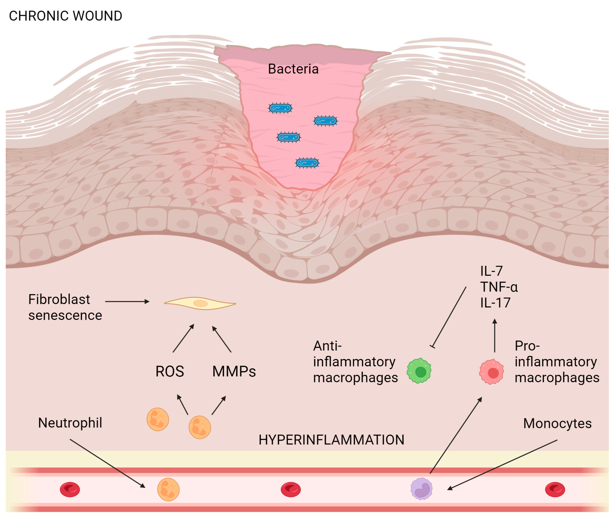 Ijms 24 15279 g003 Ijms 24 15279 g003