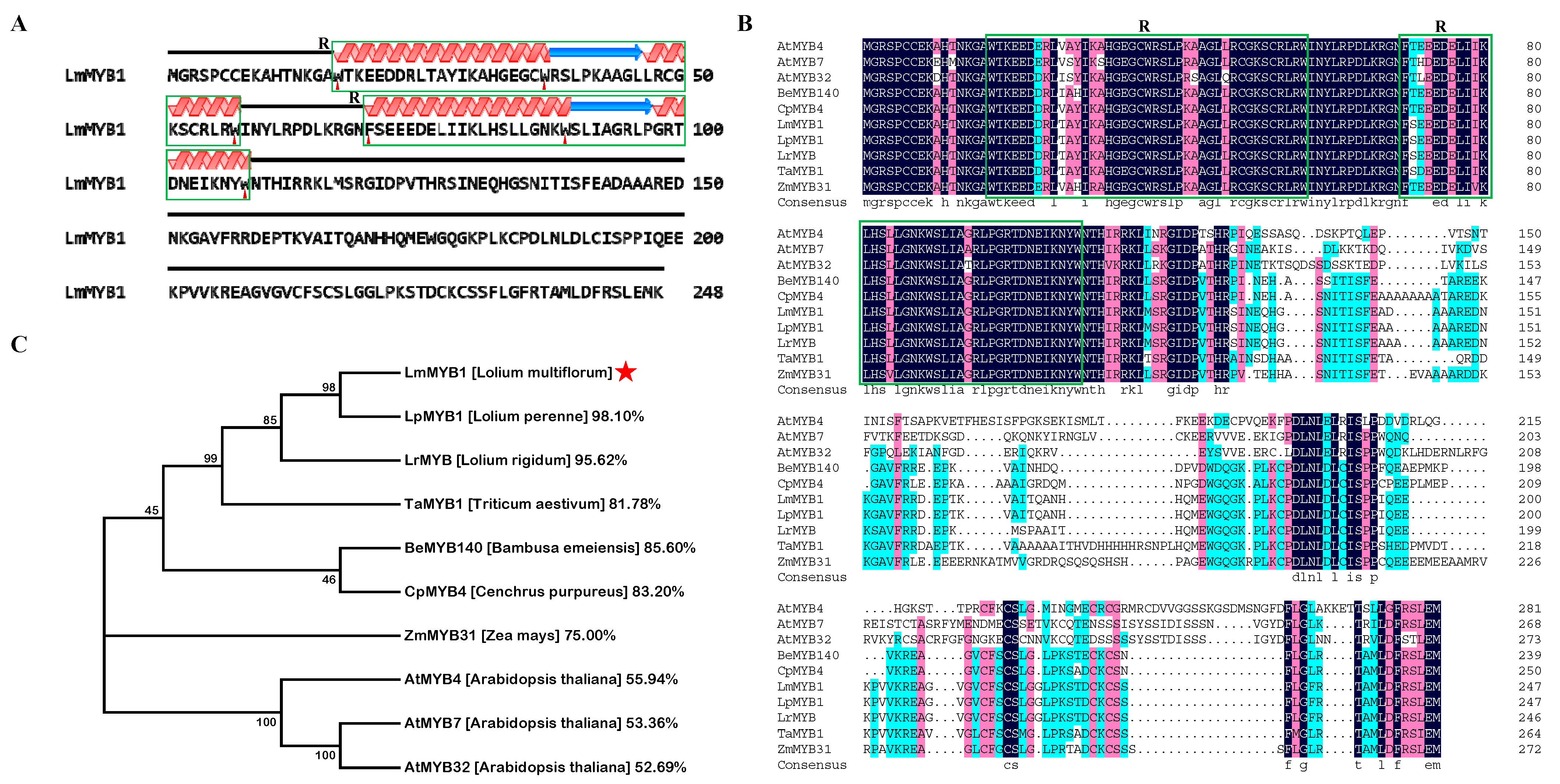 Ijms 24 15280 g001 Ijms 24 15280 g001