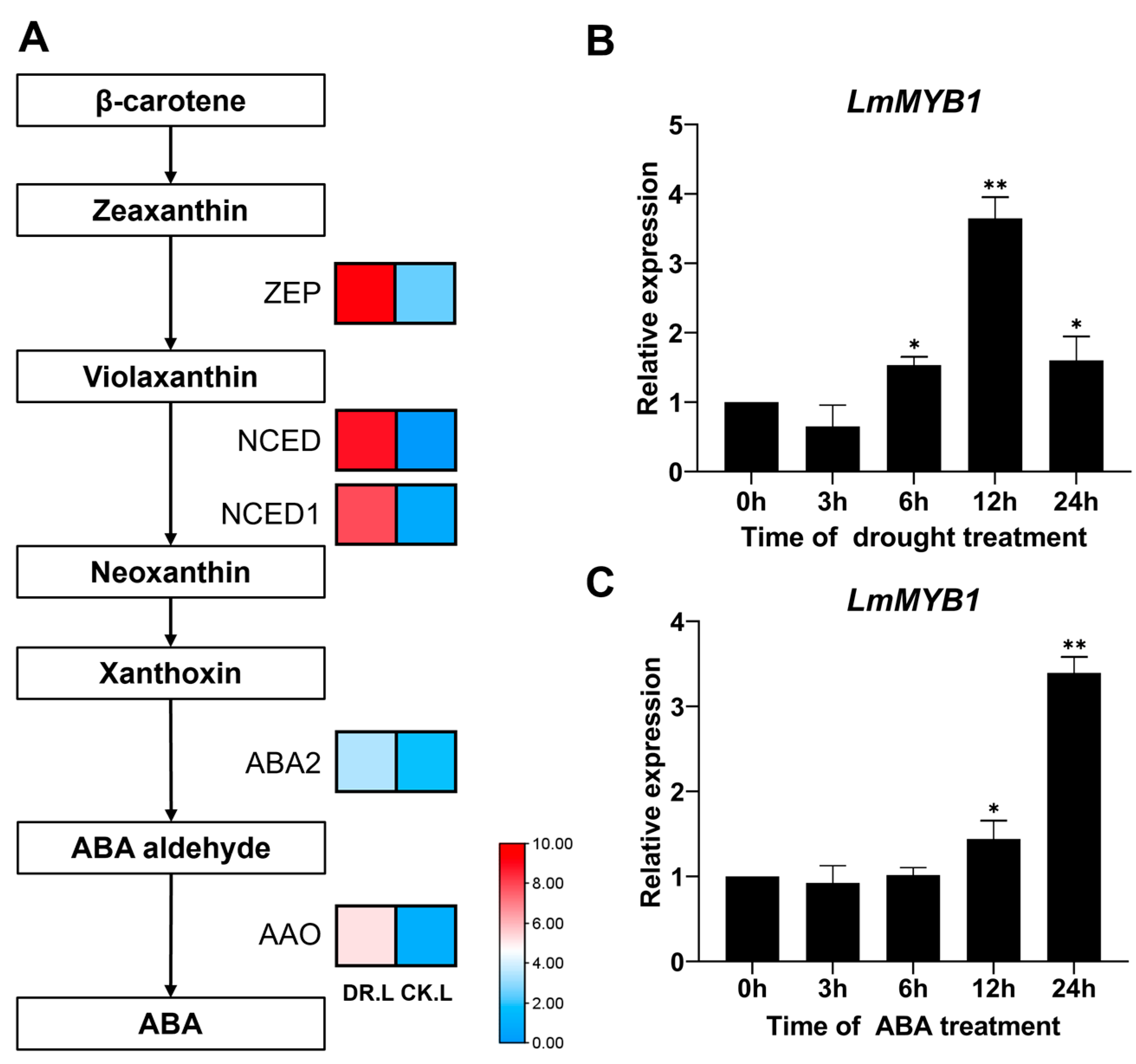 Ijms 24 15280 g002 Ijms 24 15280 g002
