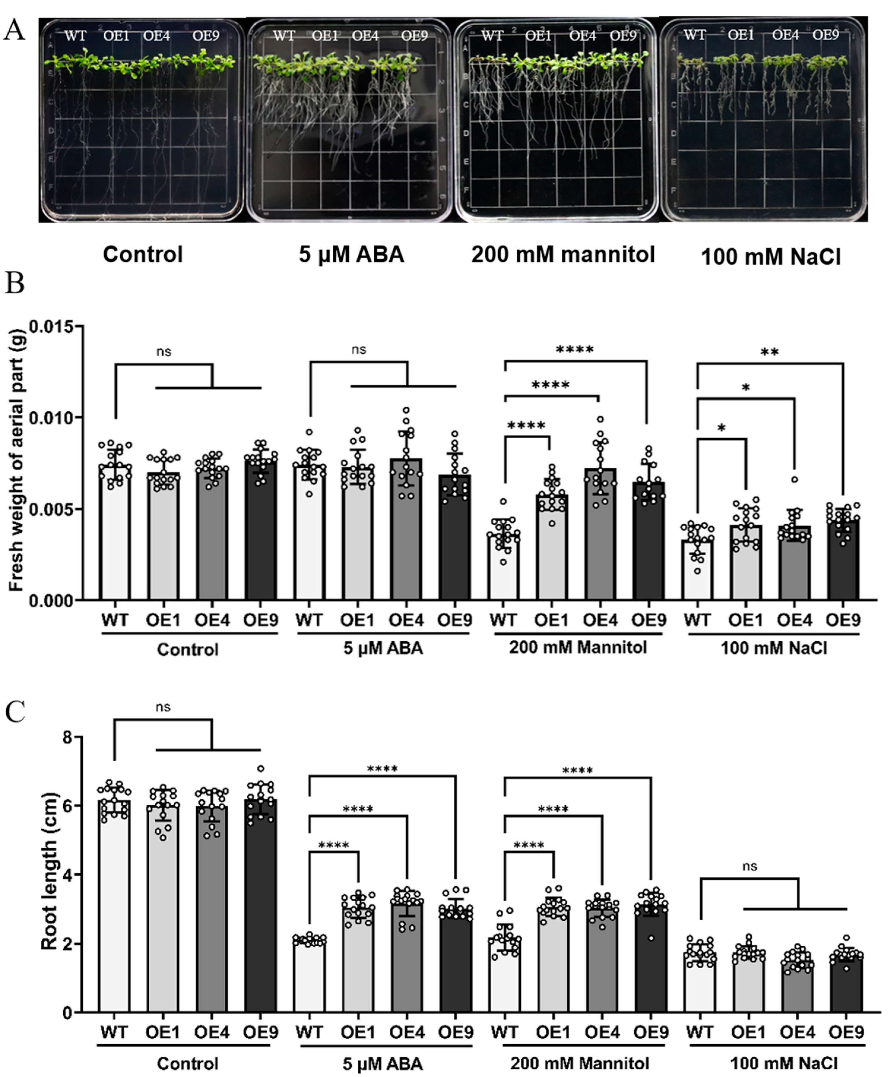 Ijms 24 15280 g003 Ijms 24 15280 g003