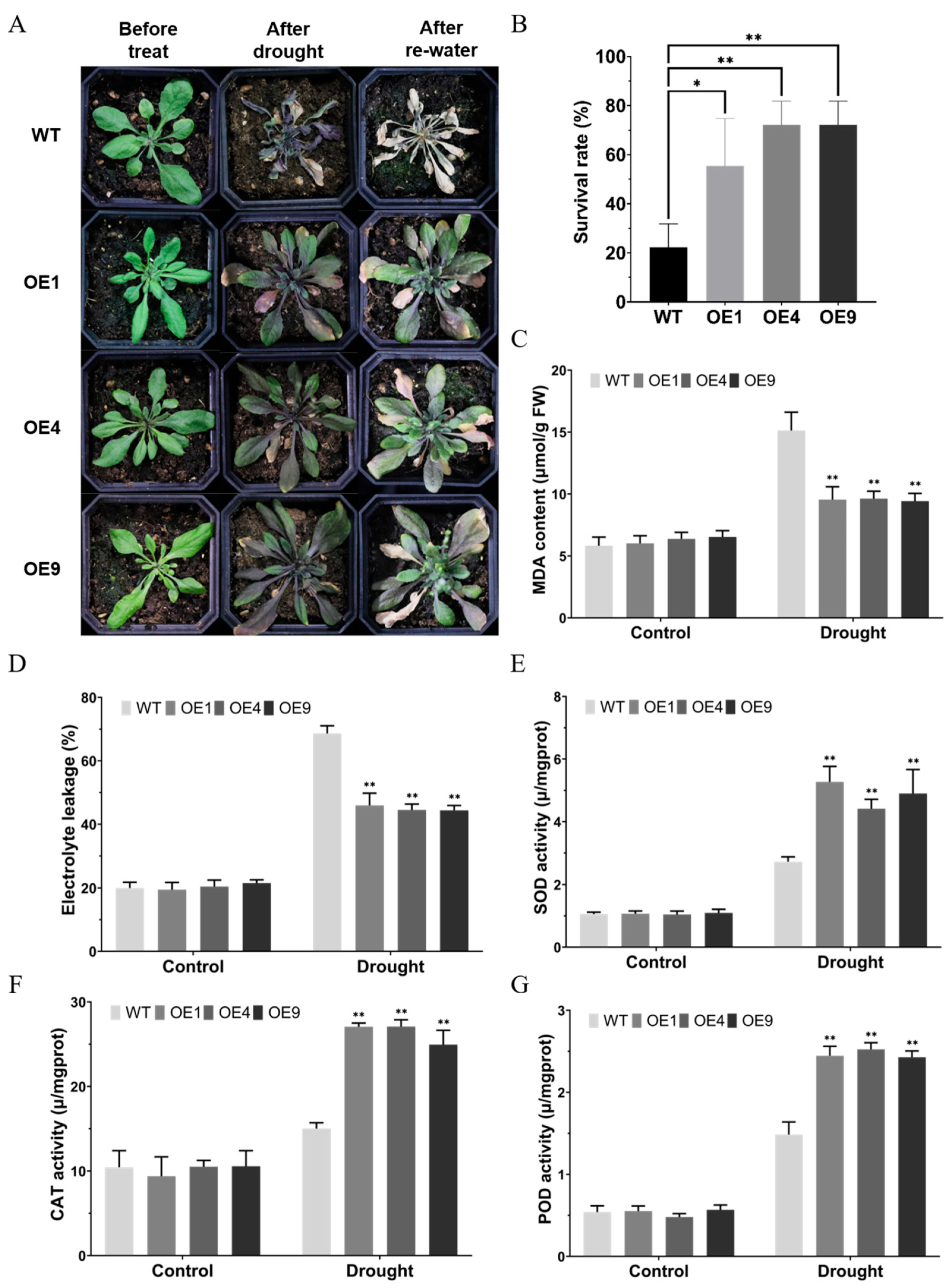Ijms 24 15280 g004 Ijms 24 15280 g004