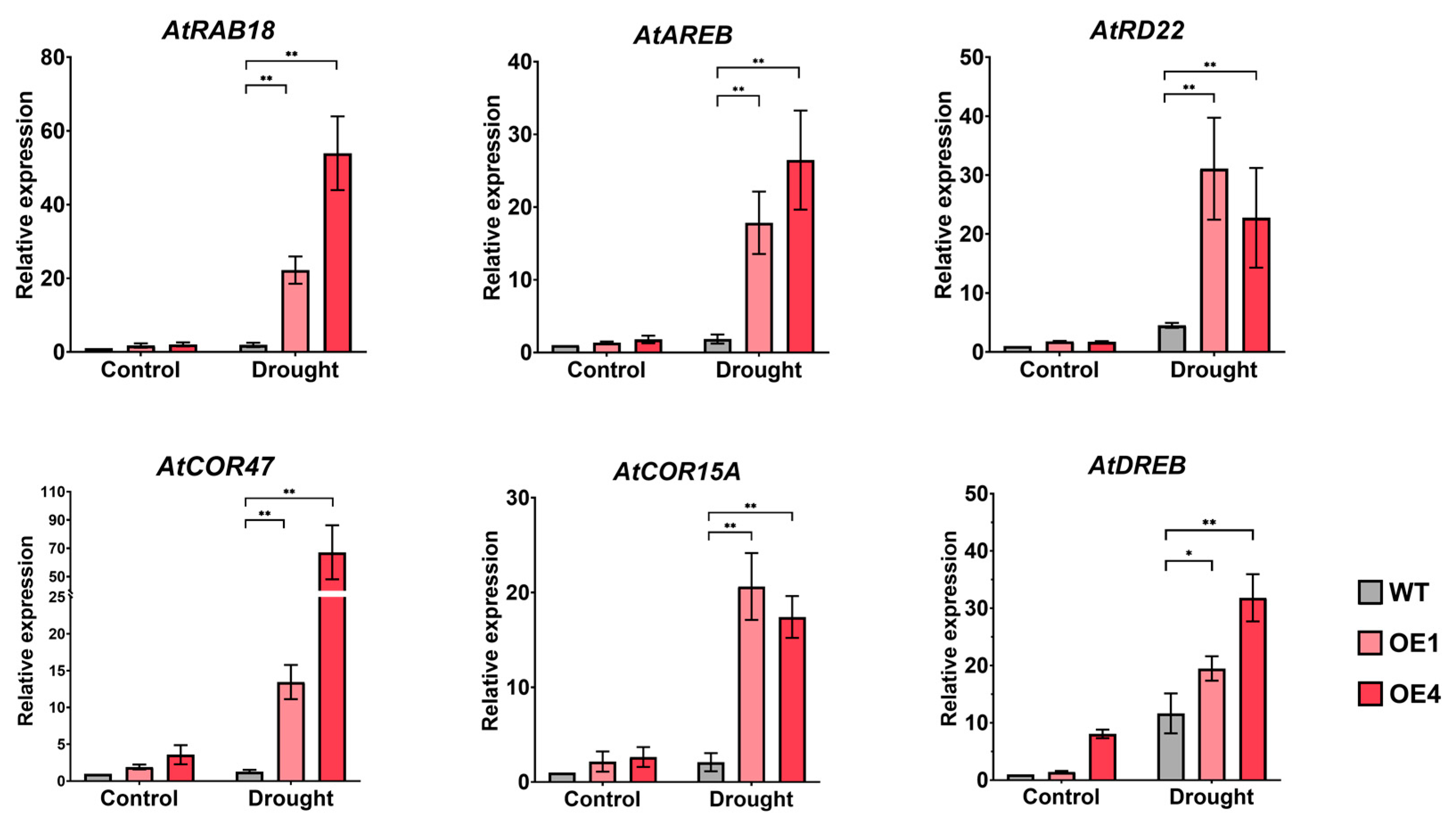 Ijms 24 15280 g005 Ijms 24 15280 g005