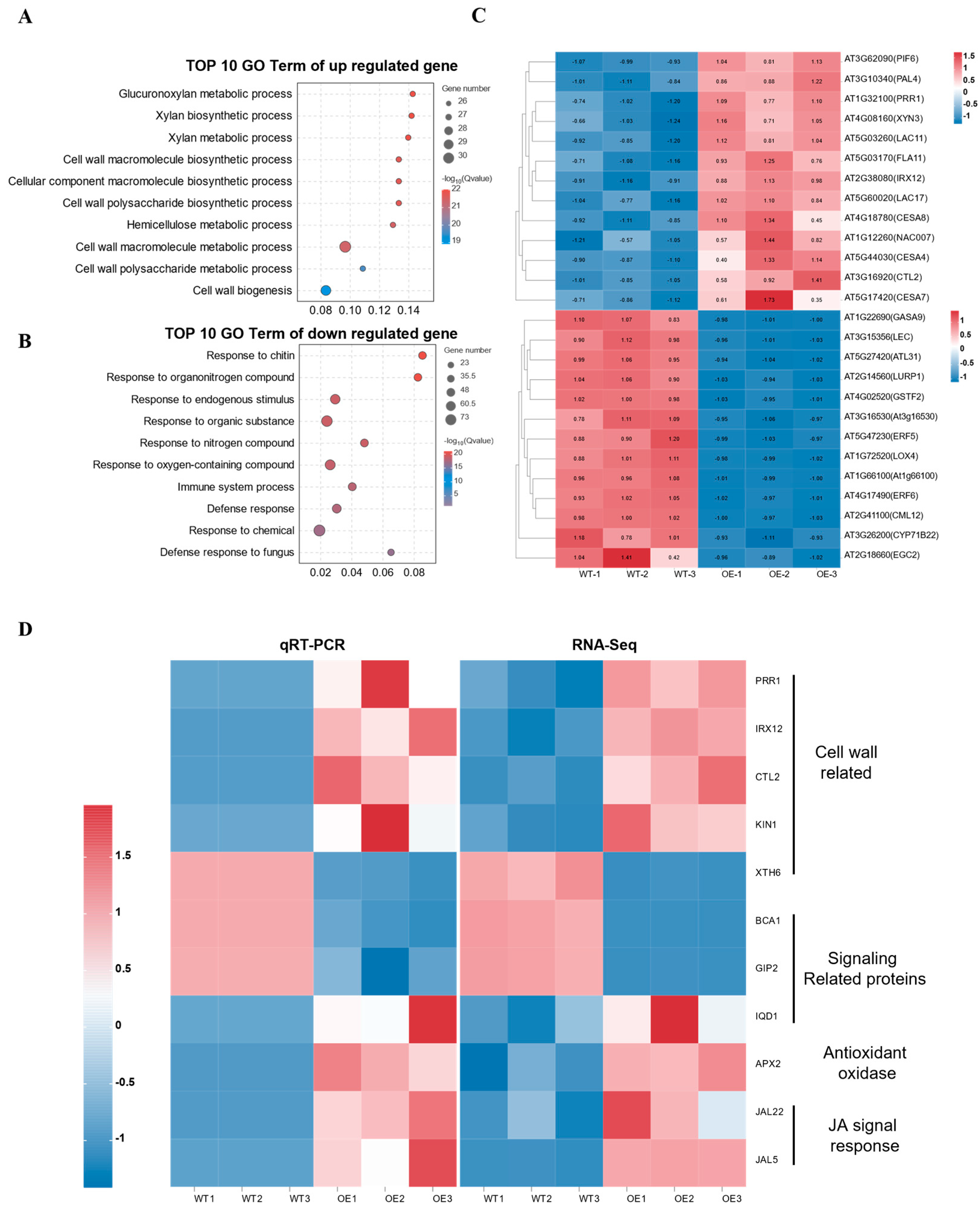 Ijms 24 15280 g006 Ijms 24 15280 g006