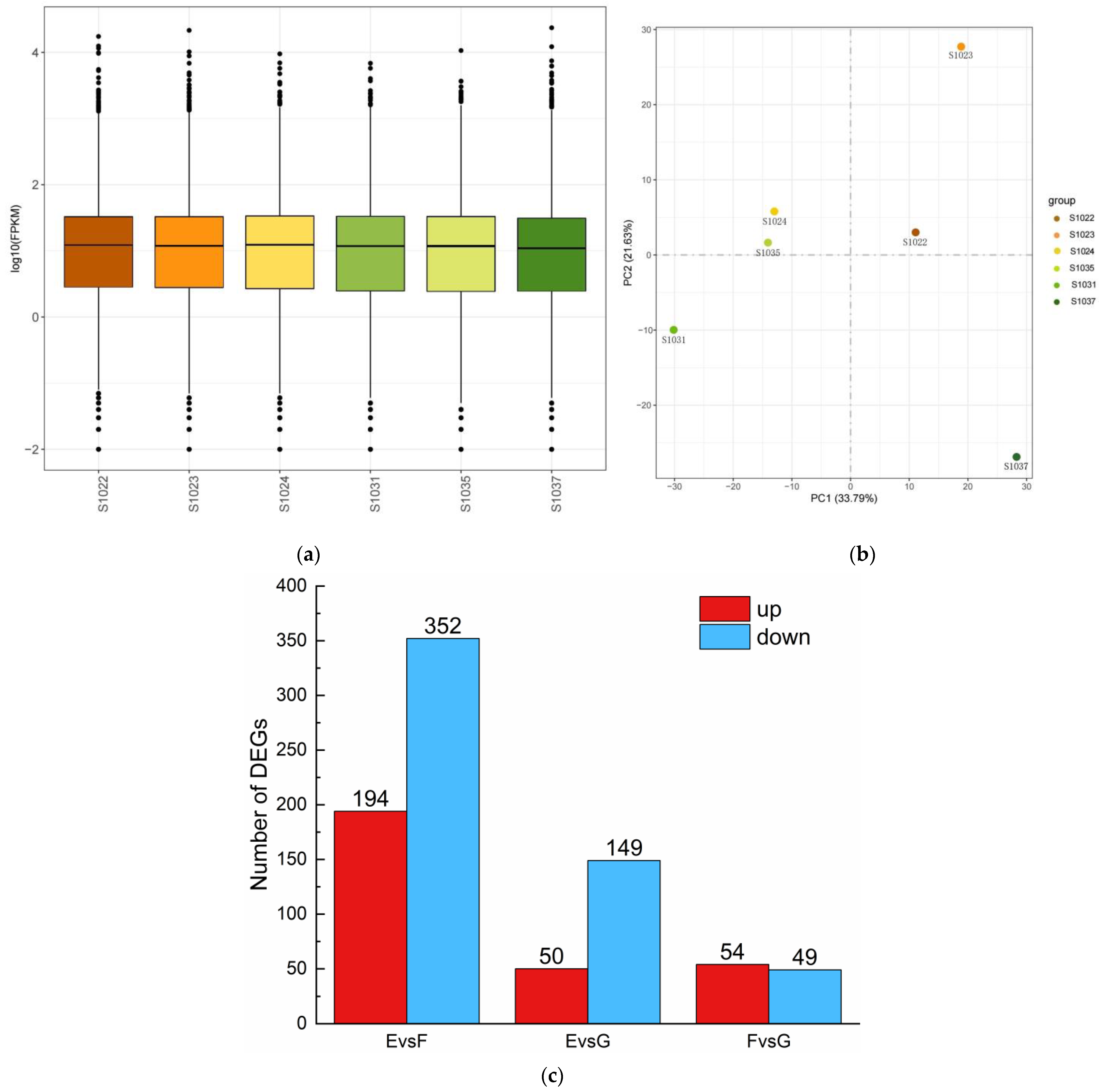 Ijms 24 15311 g002 Ijms 24 15311 g002