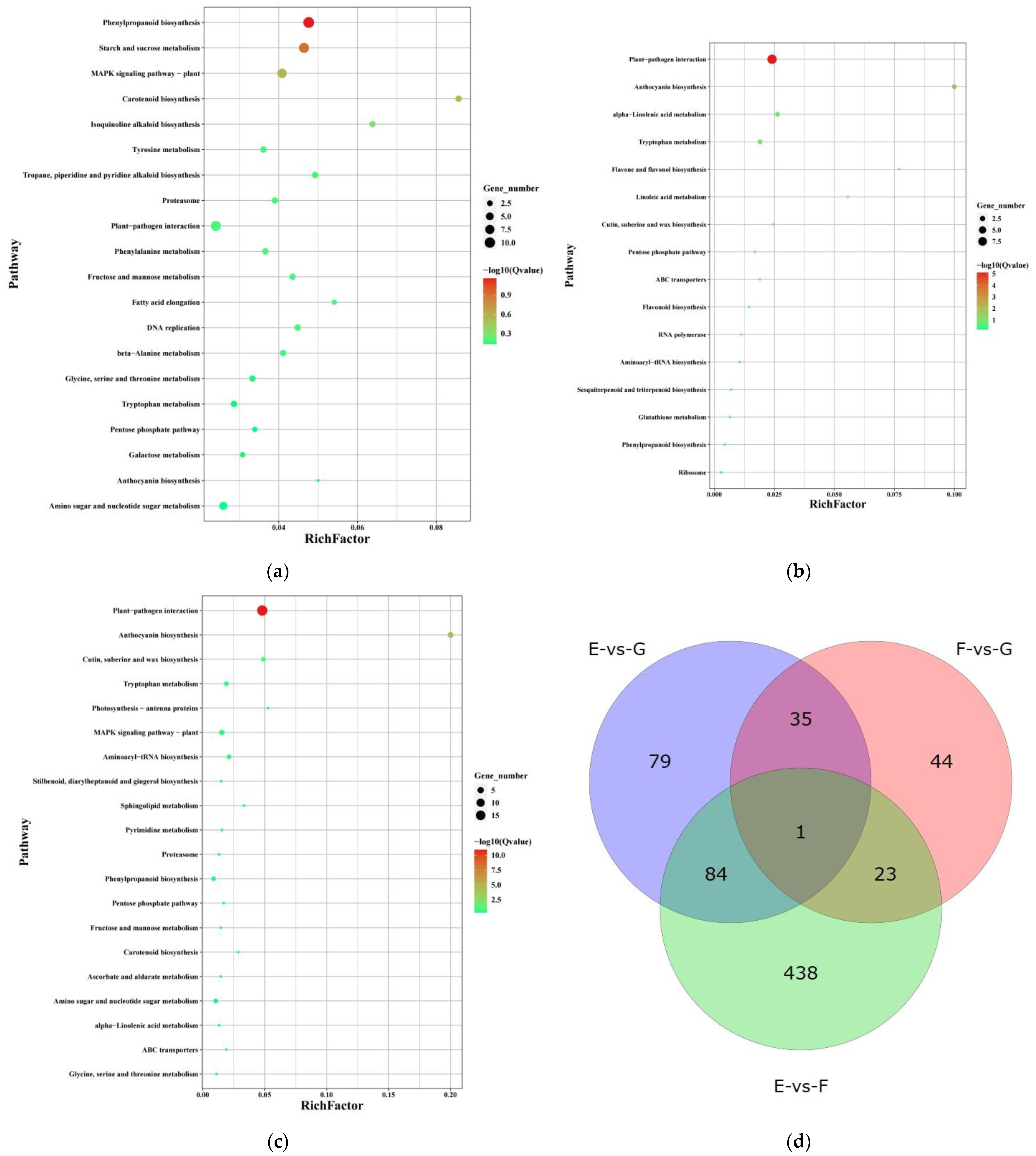 Ijms 24 15311 g004 Ijms 24 15311 g004