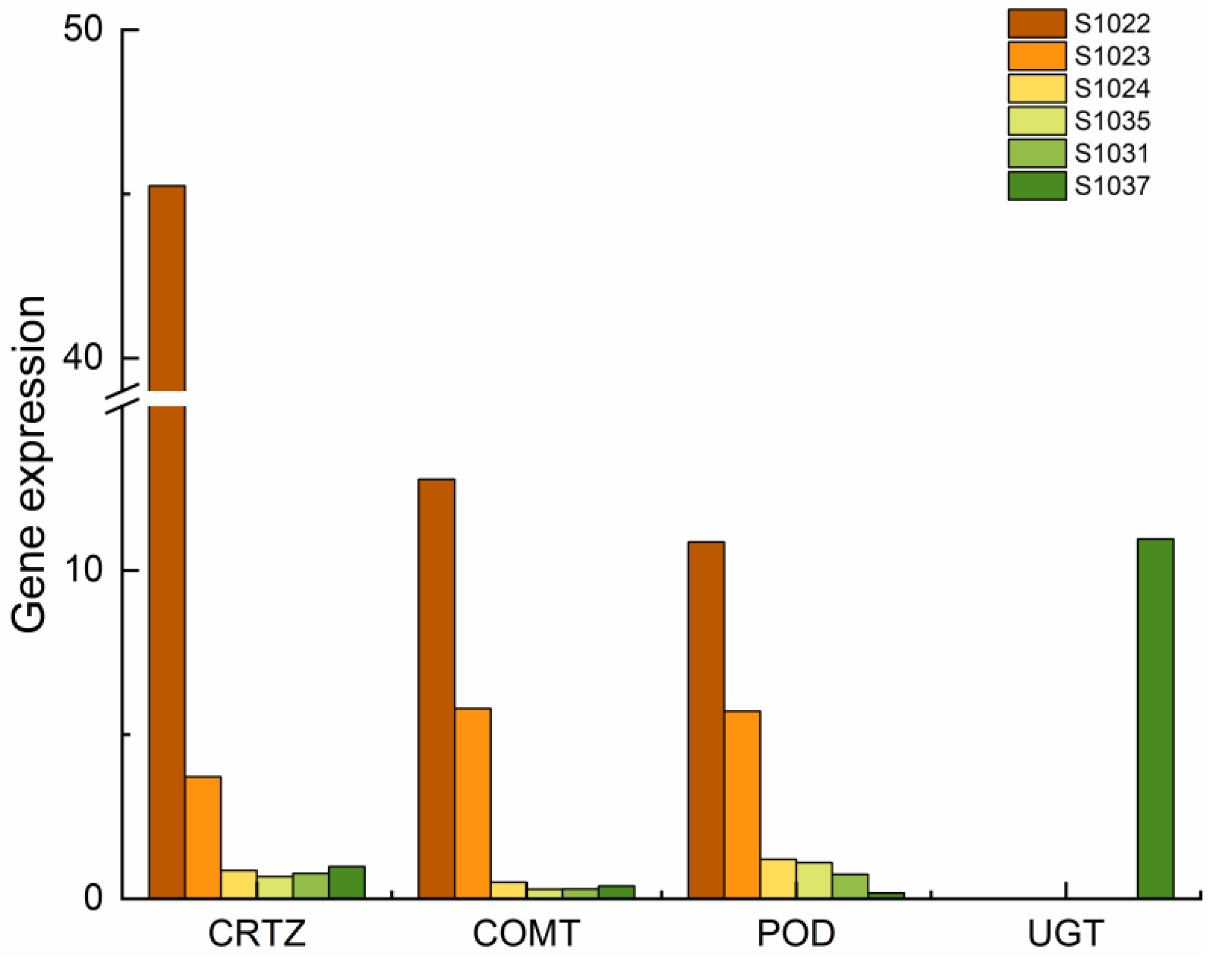 Ijms 24 15311 g005 Ijms 24 15311 g005