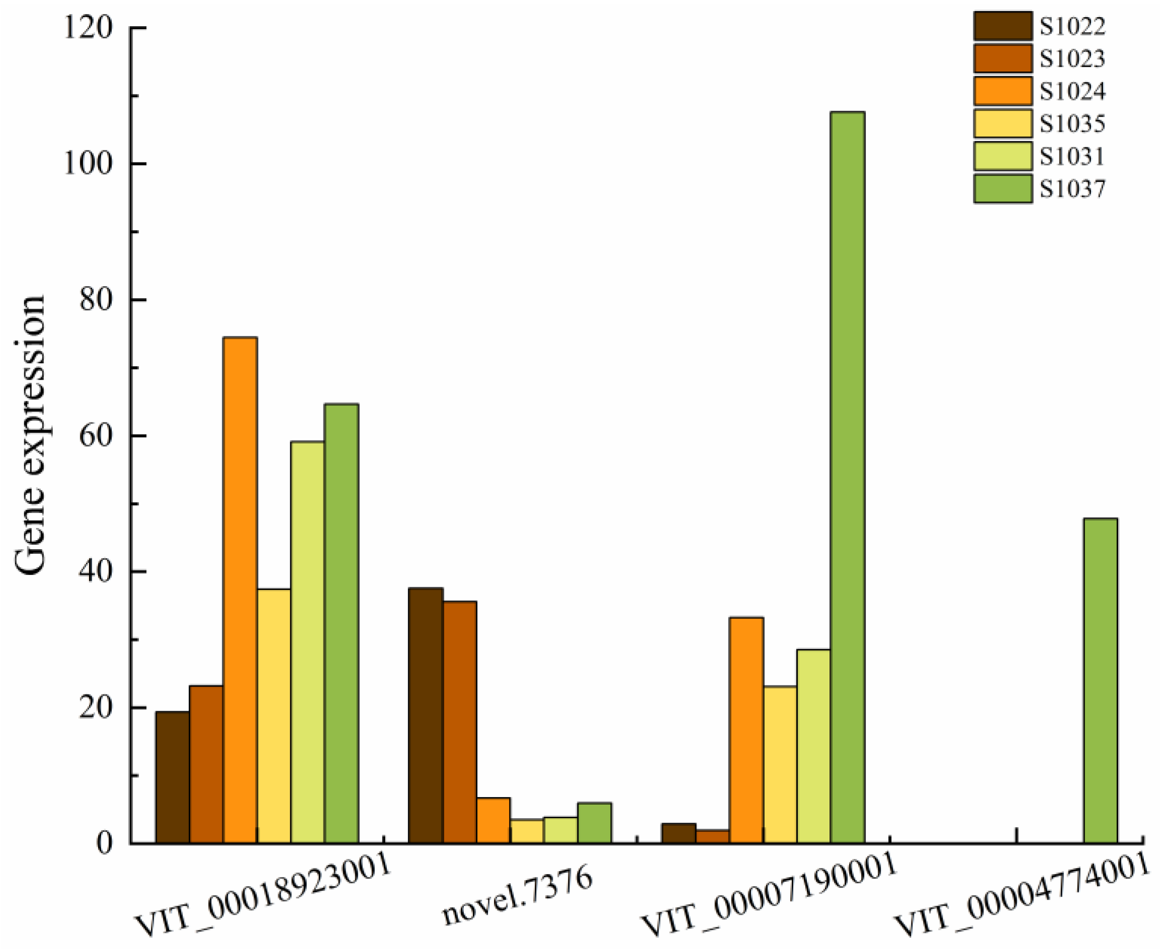 Ijms 24 15311 g007 Ijms 24 15311 g007