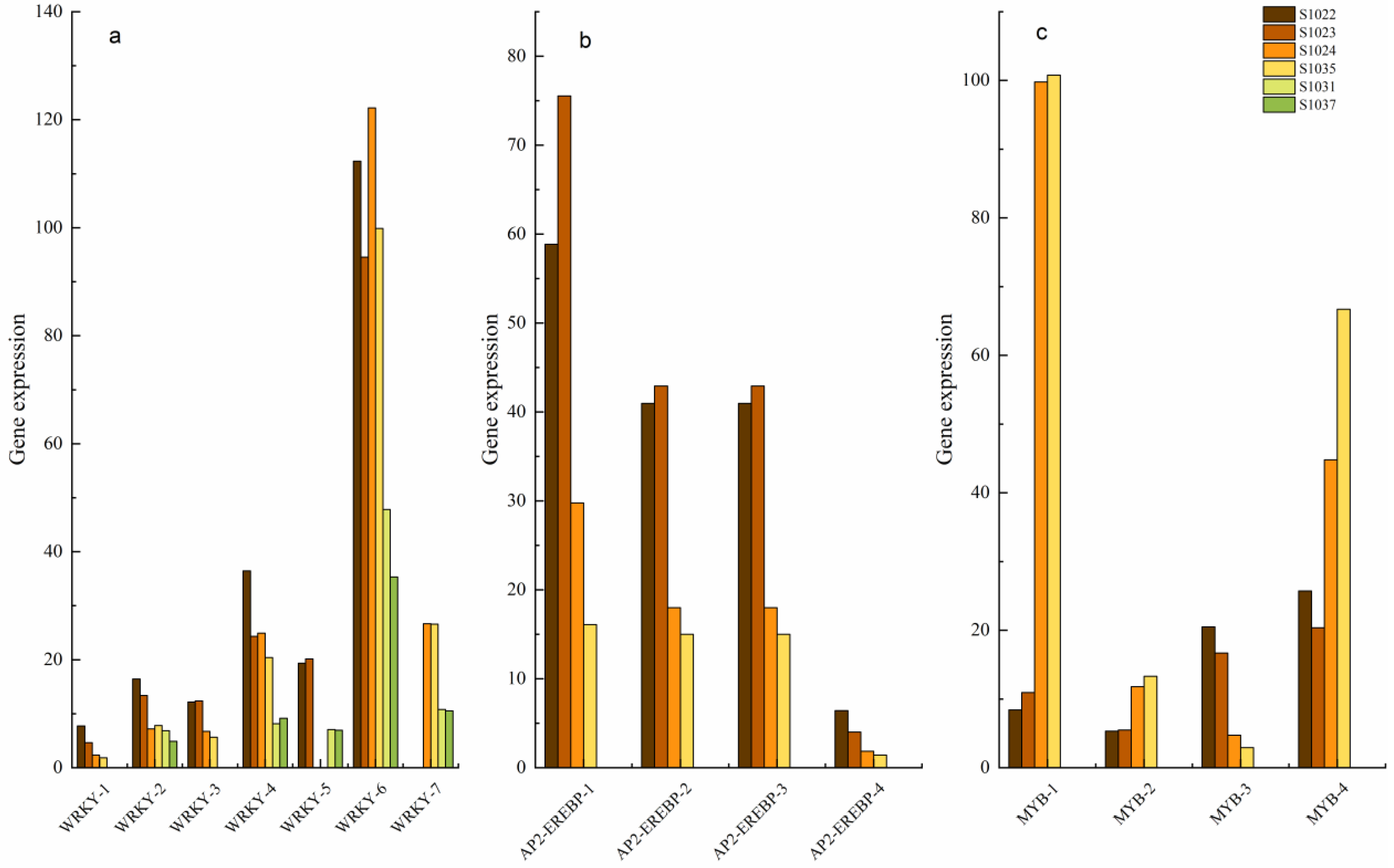 Ijms 24 15311 g008 Ijms 24 15311 g008