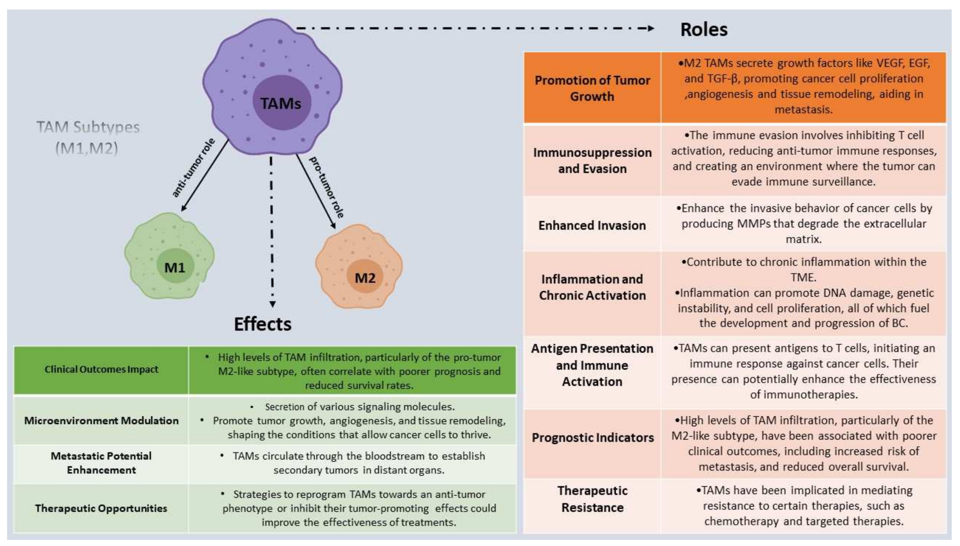 Translational Control of Immune Evasion in Cancer: Trends in Cancer