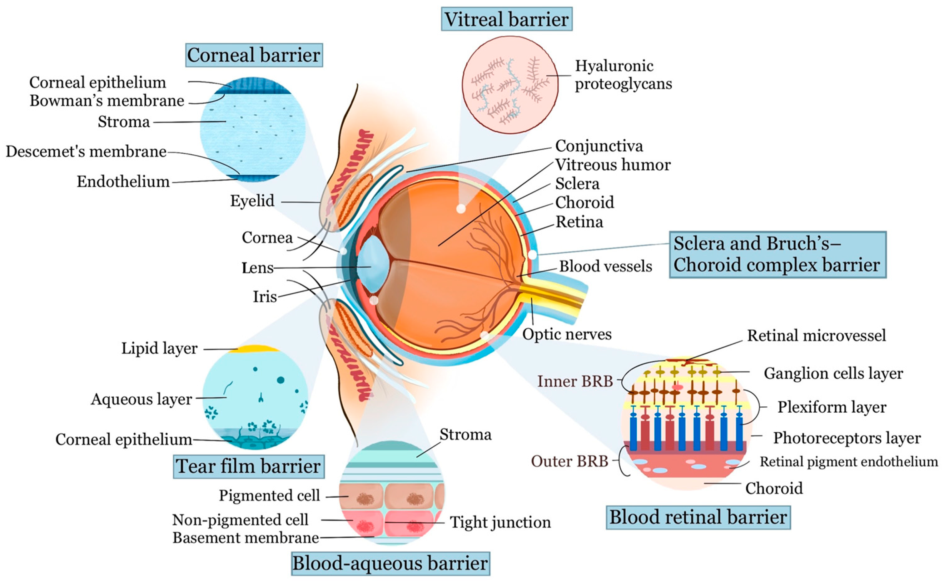 PDF) An updated landscape on nanotechnology-based drug delivery