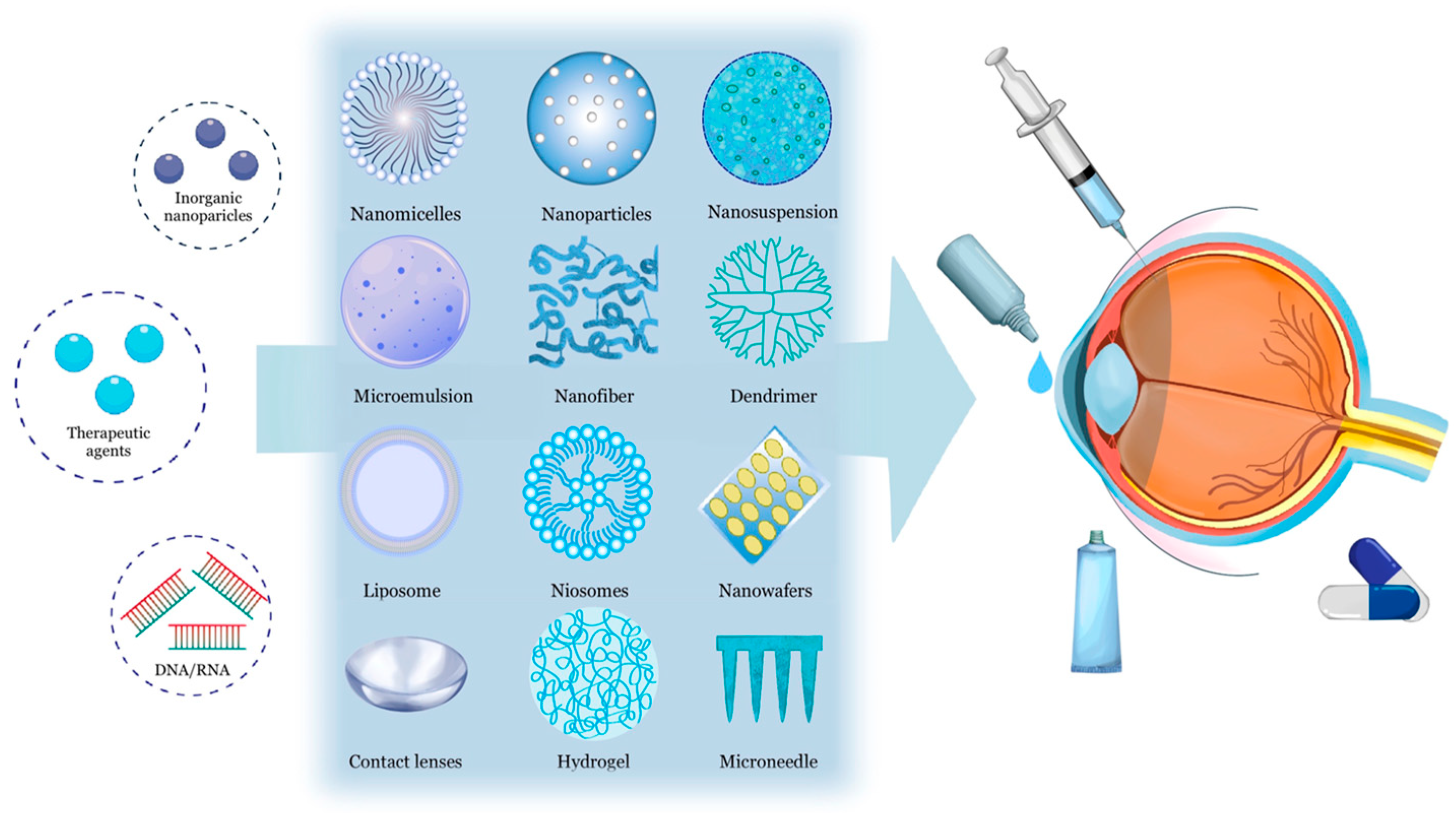 Ijms 24 15352 g003 Ijms 24 15352 g003