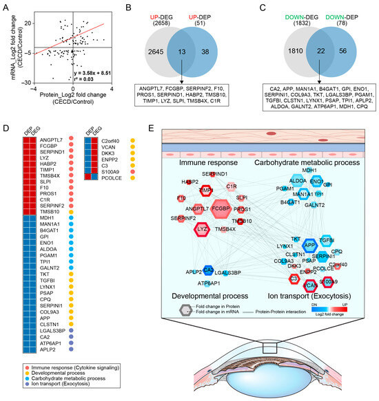 Integrated Analysis of Transcriptome and Proteome of the Human Cornea ...