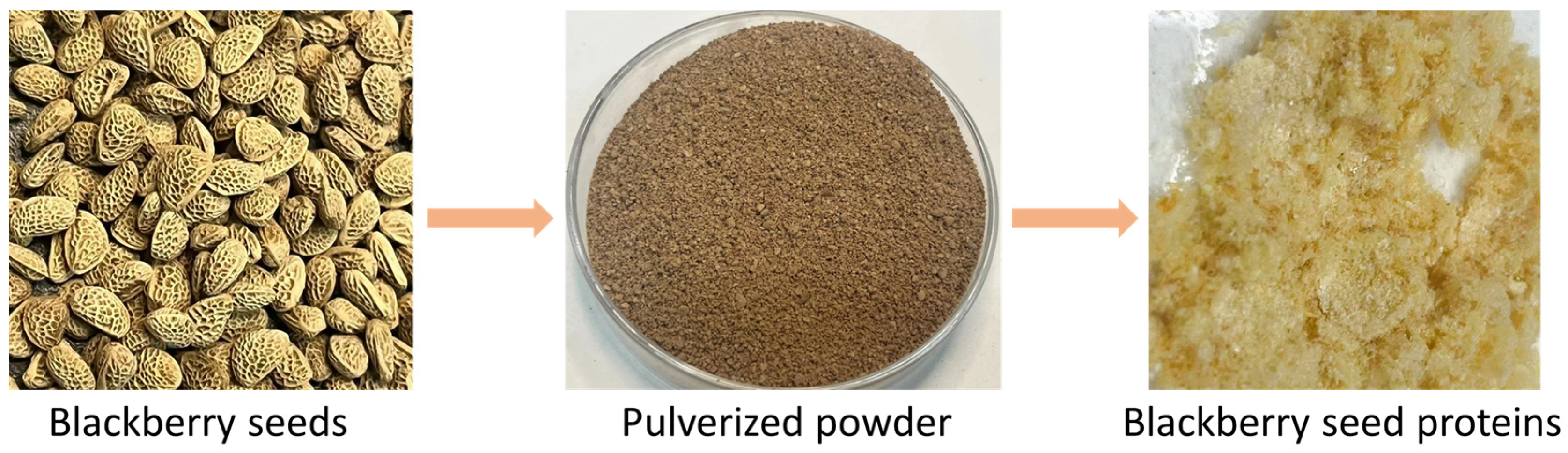 Ijms 24 15371 sch001