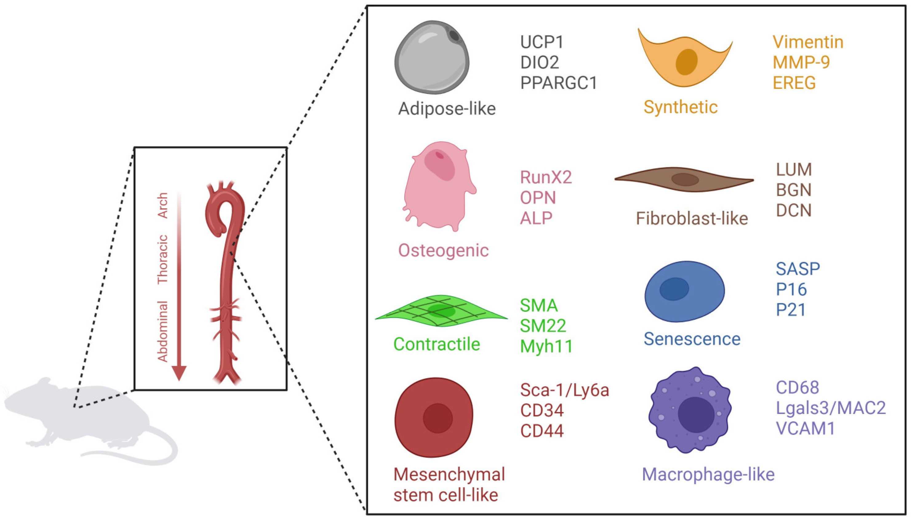 Ijms 24 15379 g003 Ijms 24 15379 g003