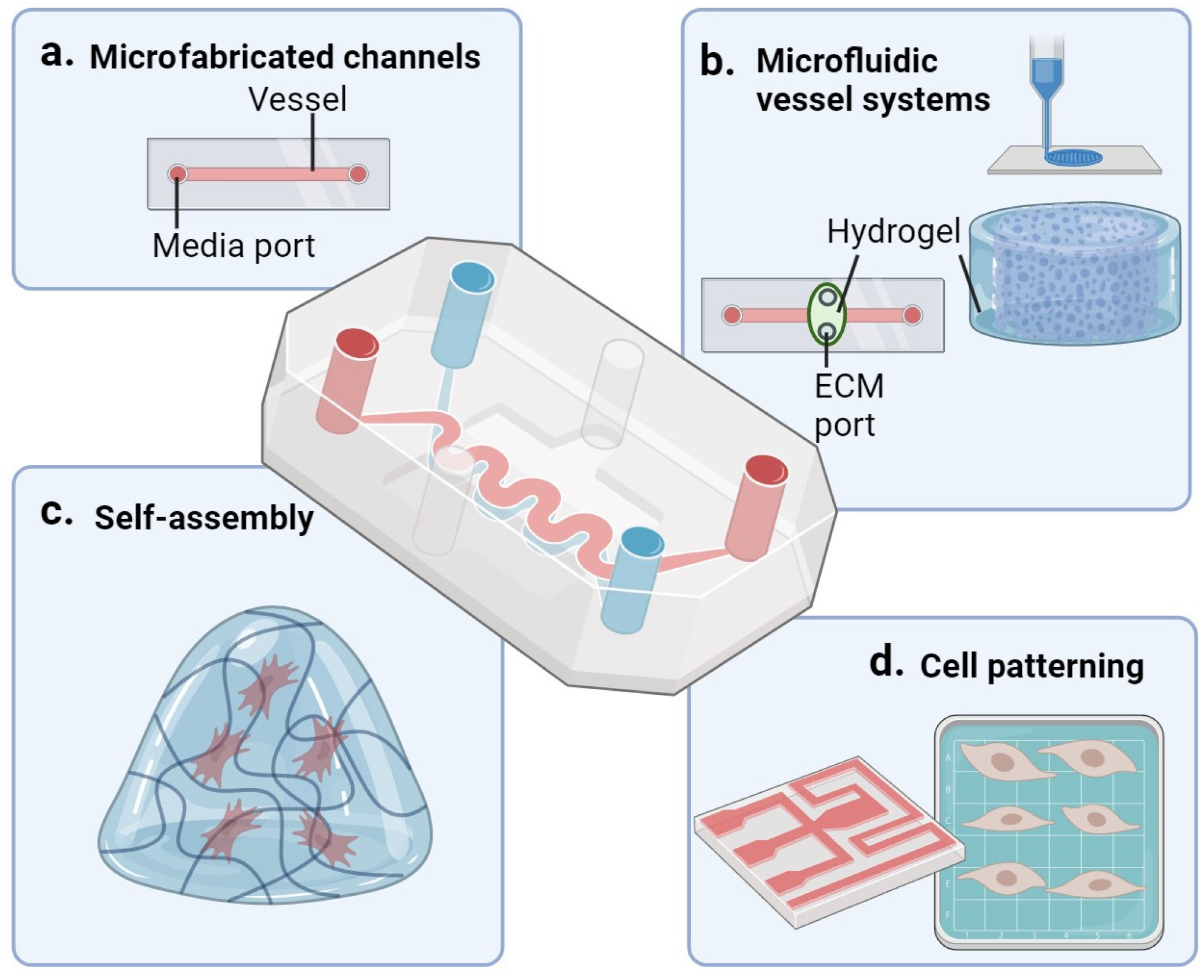 Ijms 24 15379 g005 Ijms 24 15379 g005