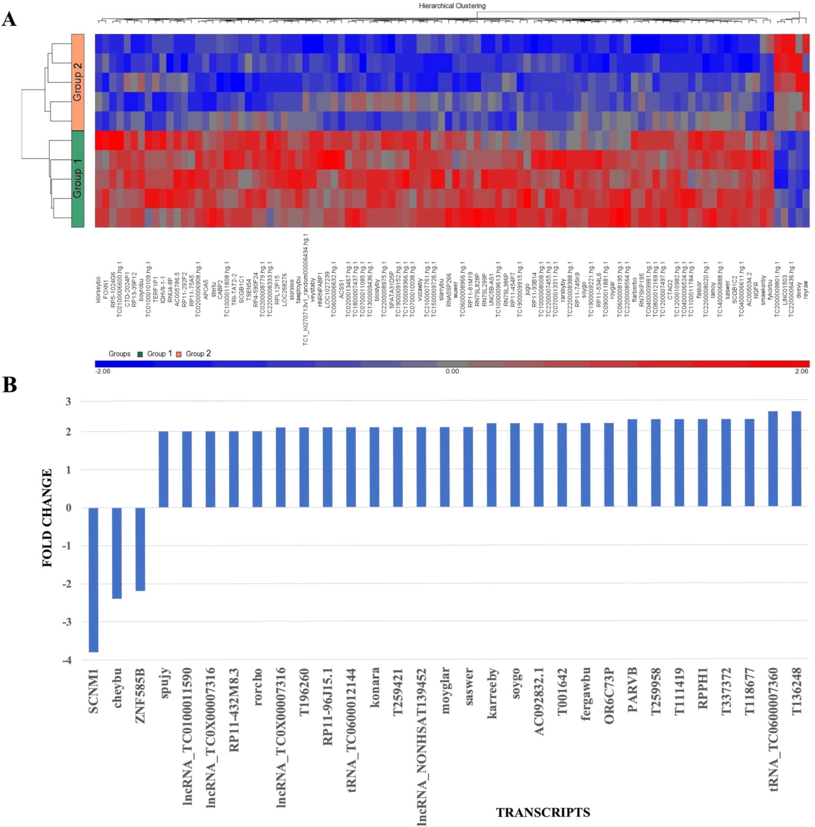 Ijms 24 15390 g004a Ijms 24 15390 g004a