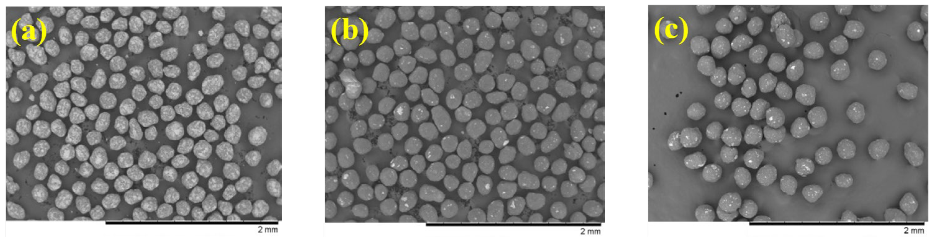 Ijms 24 15393 g004 Ijms 24 15393 g004