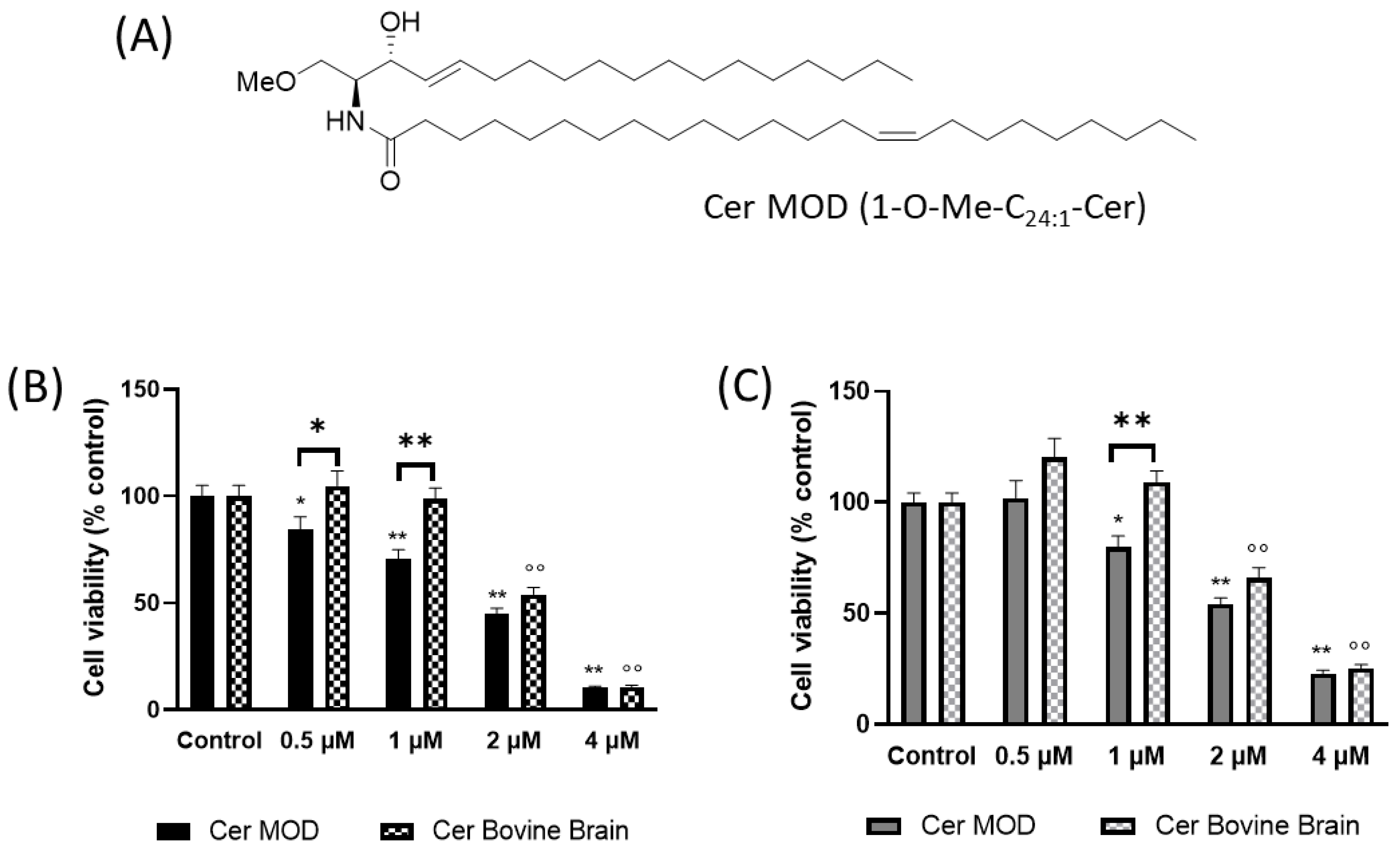 Ijms 24 15394 g008 Ijms 24 15394 g008