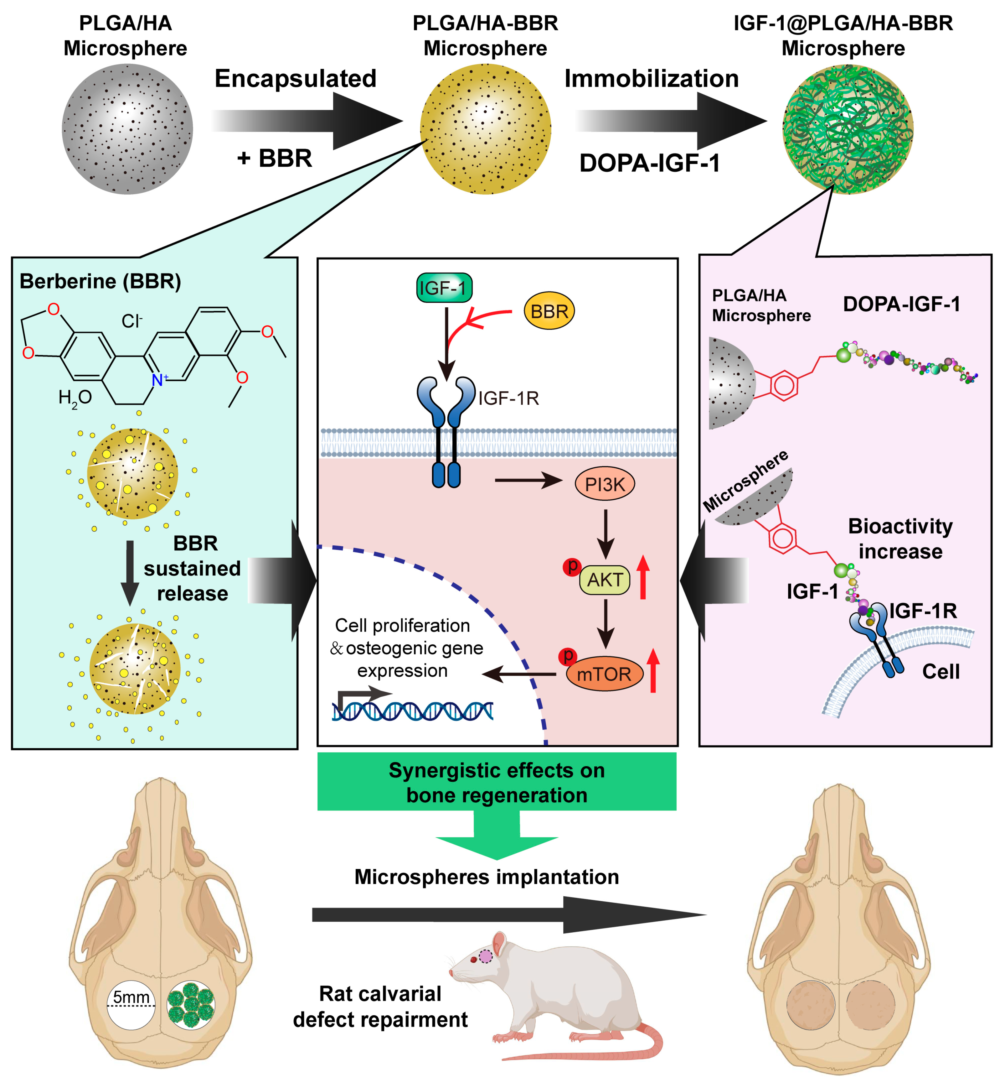 Ijms 24 15403 sch001