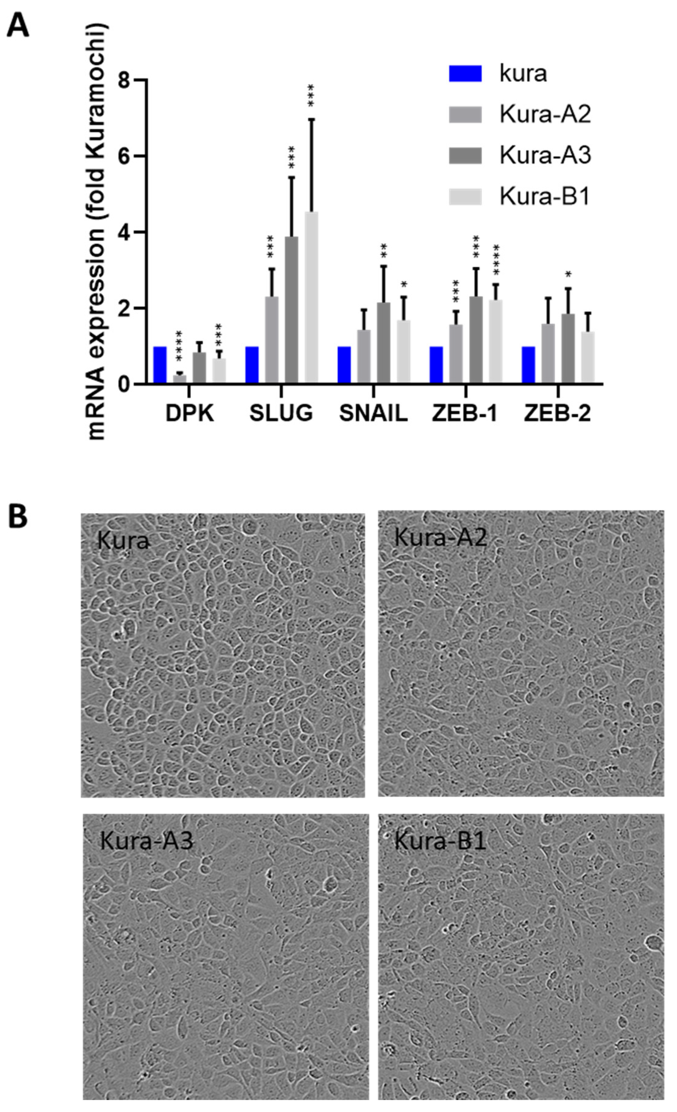 Ijms 24 15413 g003 Ijms 24 15413 g003