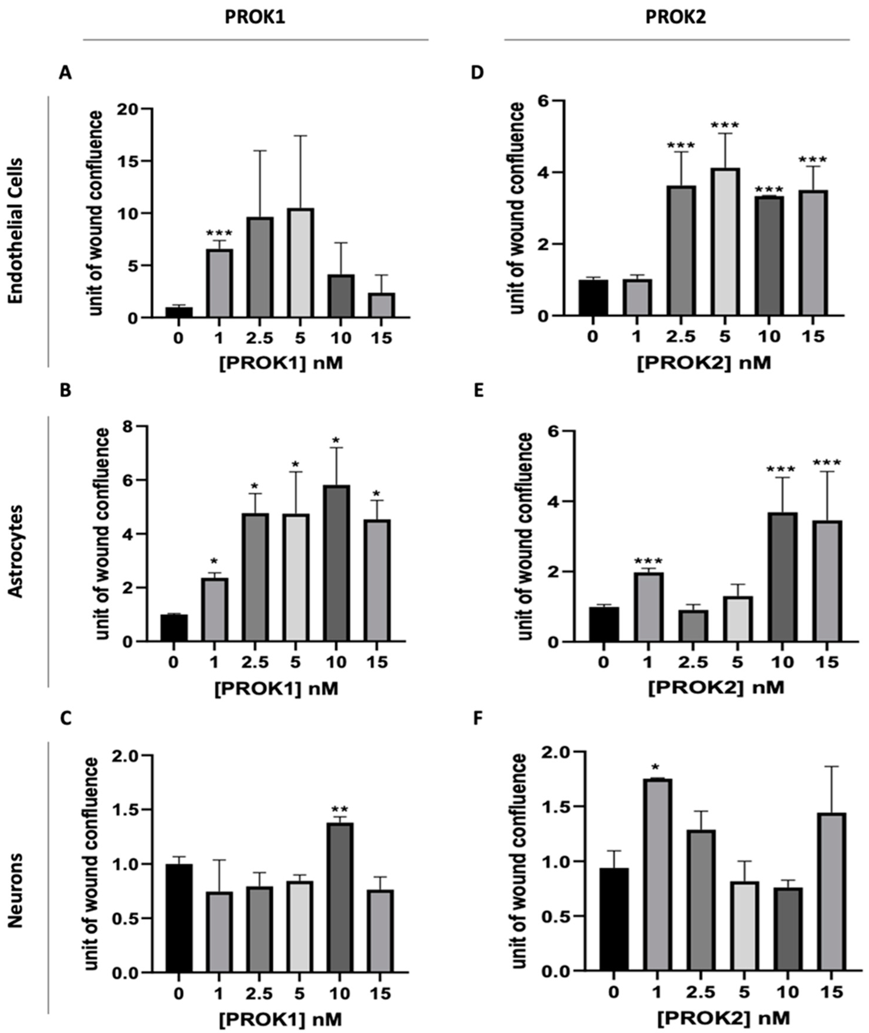 Ijms 24 15428 g003 Ijms 24 15428 g003