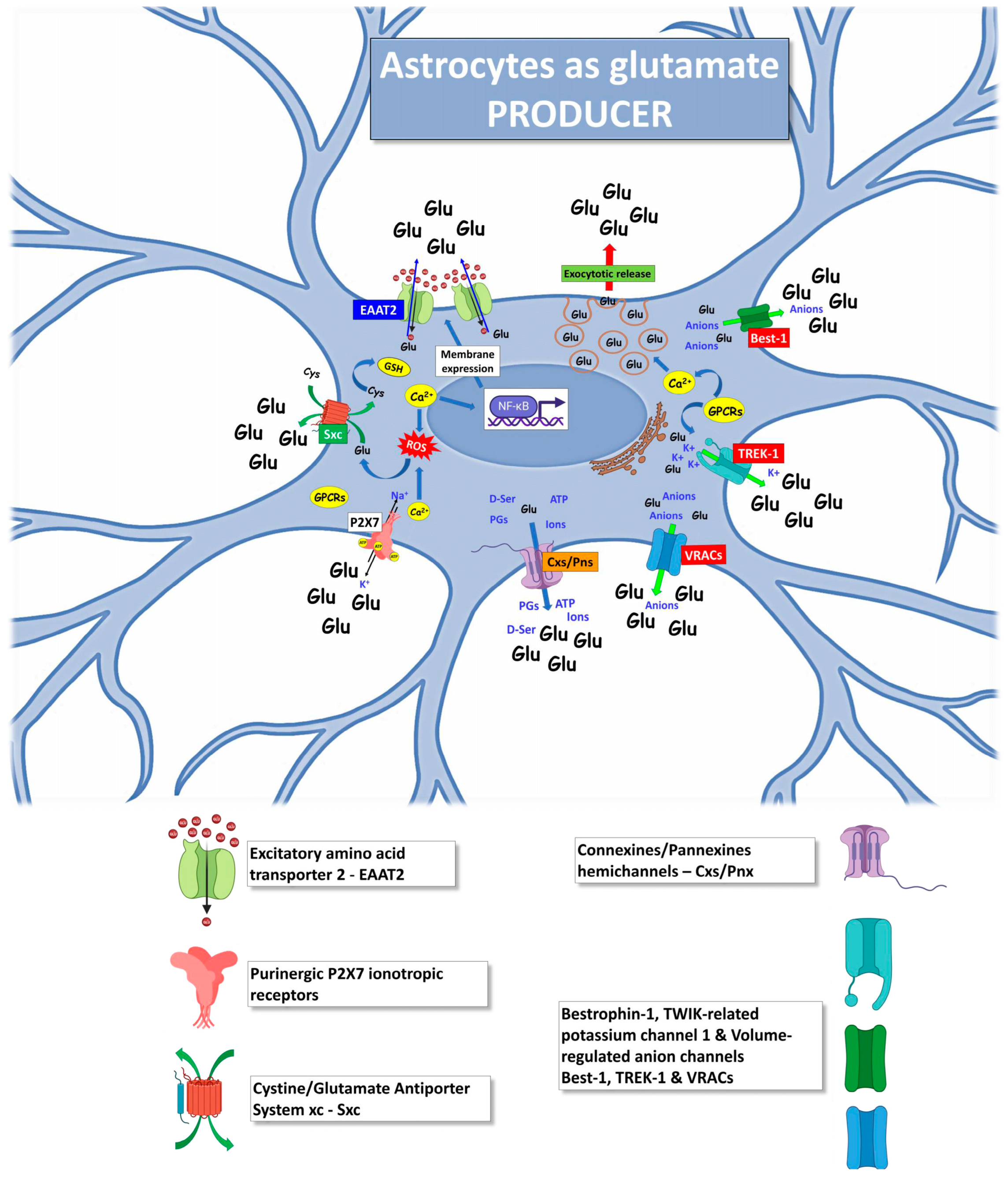 Ijms 24 15430 g002 Ijms 24 15430 g002