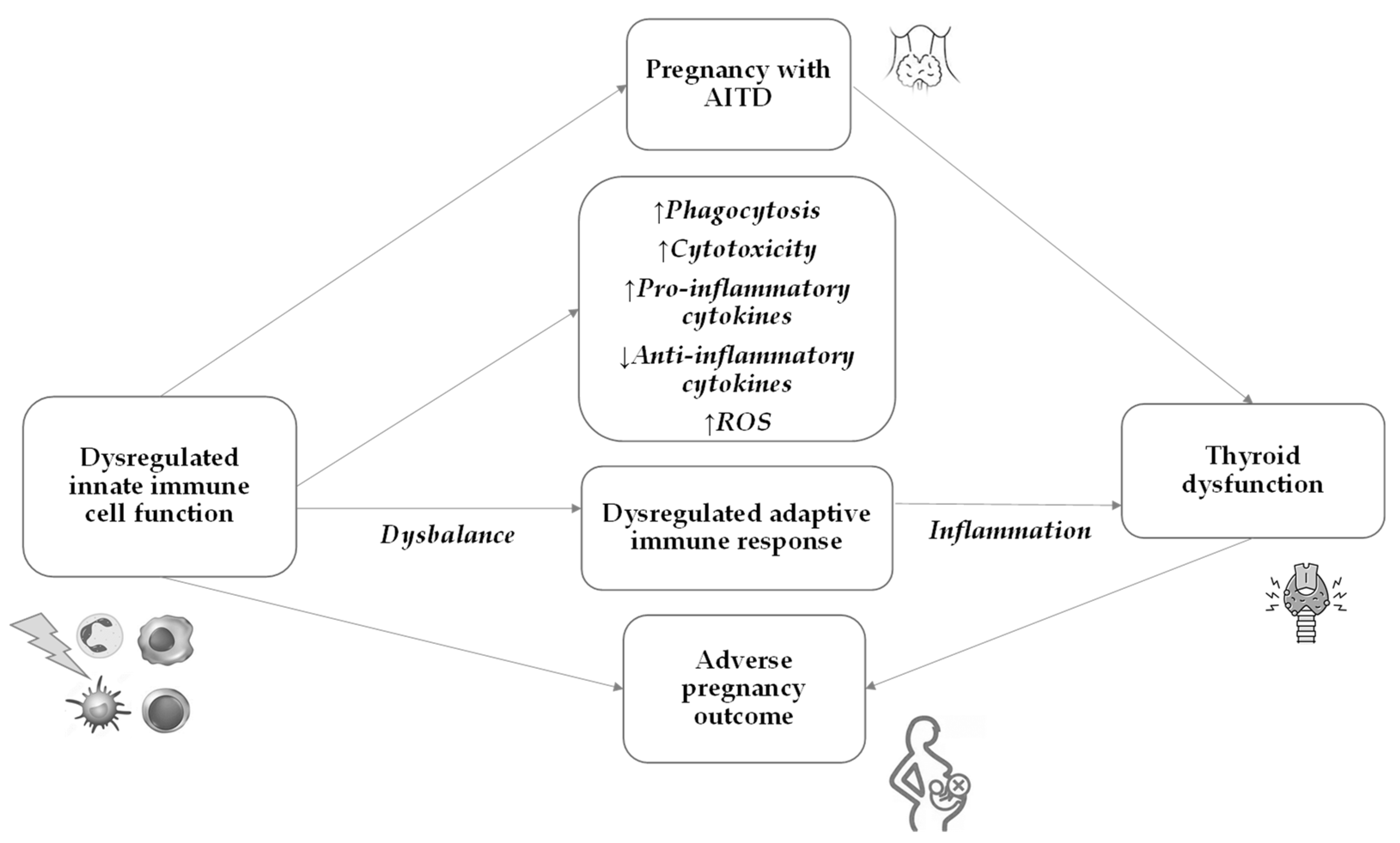 Ijms 24 15442 g002 Ijms 24 15442 g002