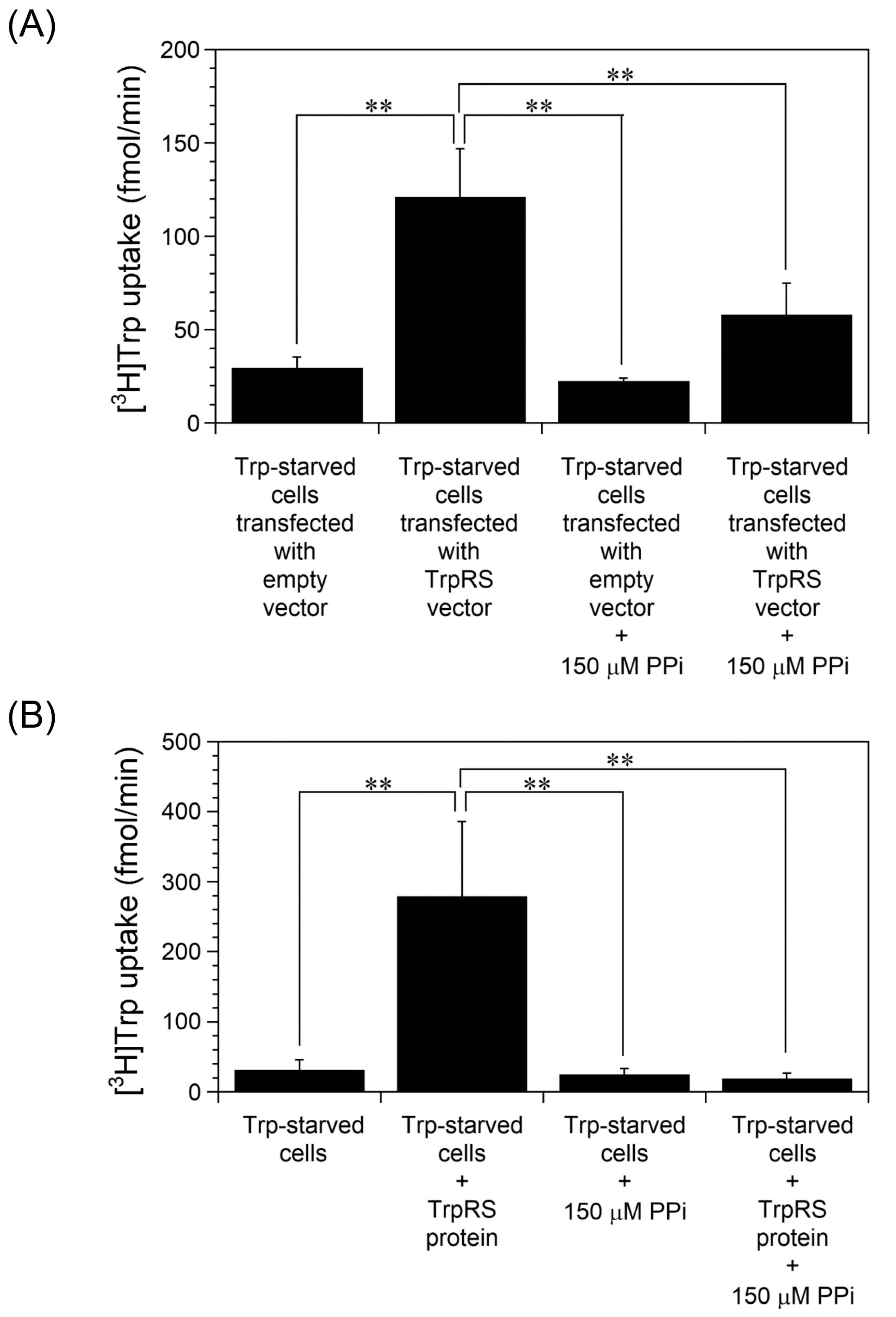 Ijms 24 15453 g005 Ijms 24 15453 g005