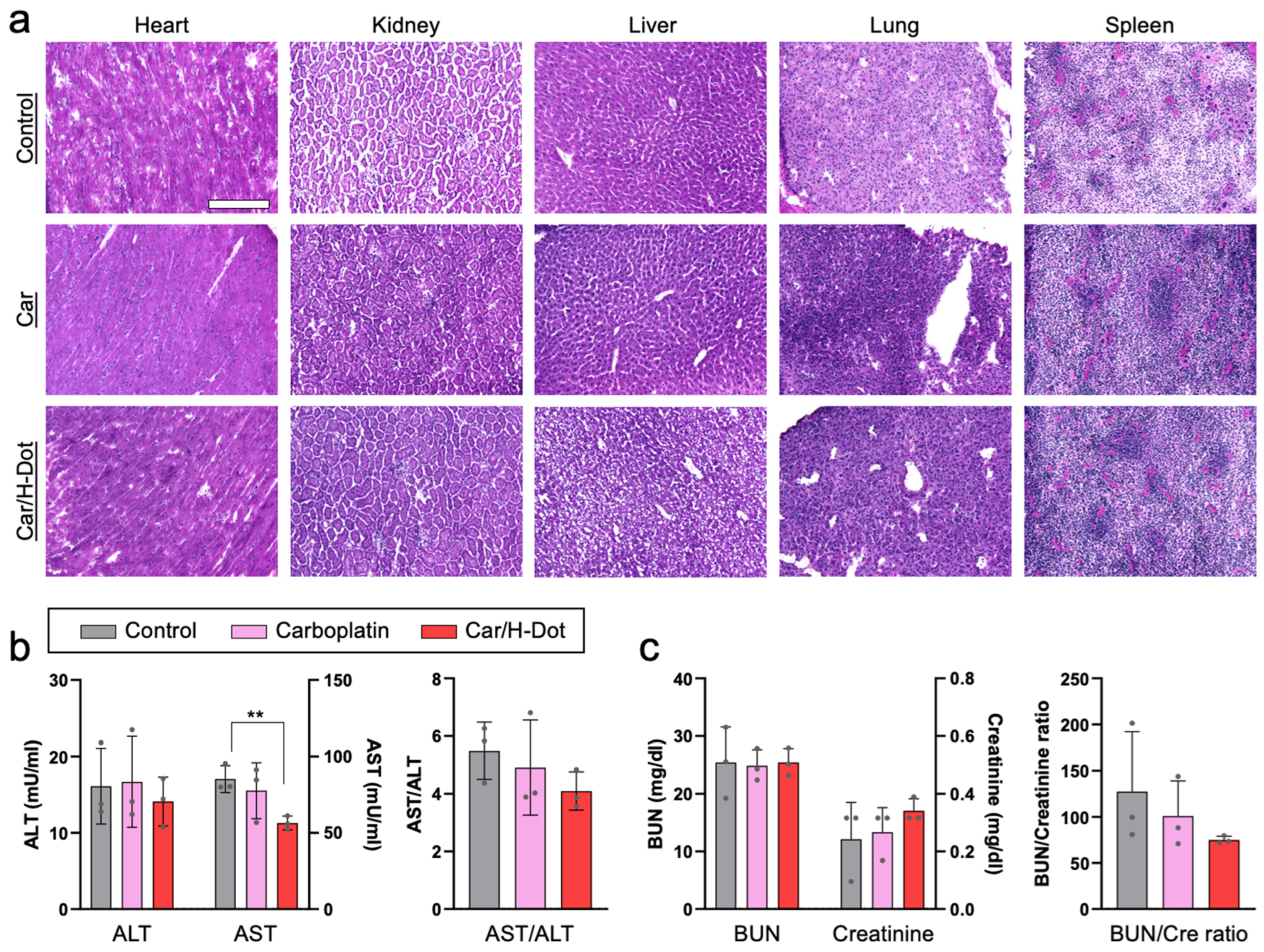 Ijms 24 15466 g005 Ijms 24 15466 g005