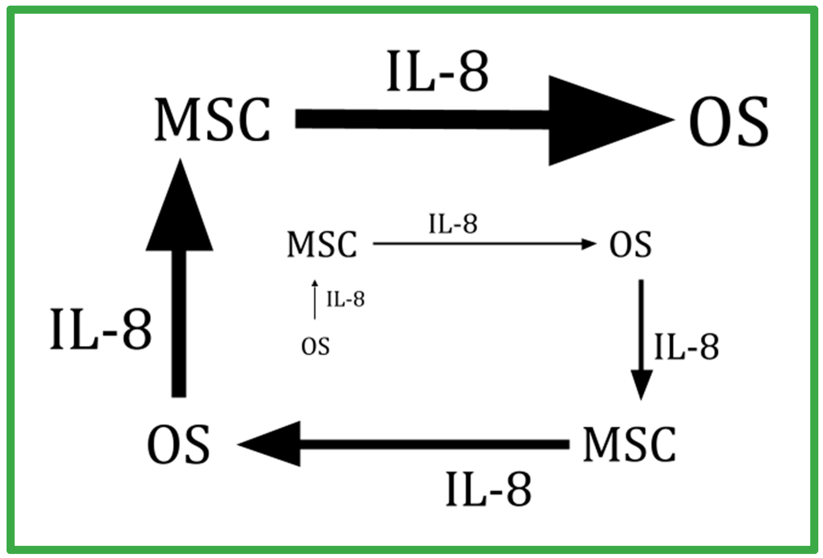 The OSR9 Regimen: A New Augmentation Strategy for