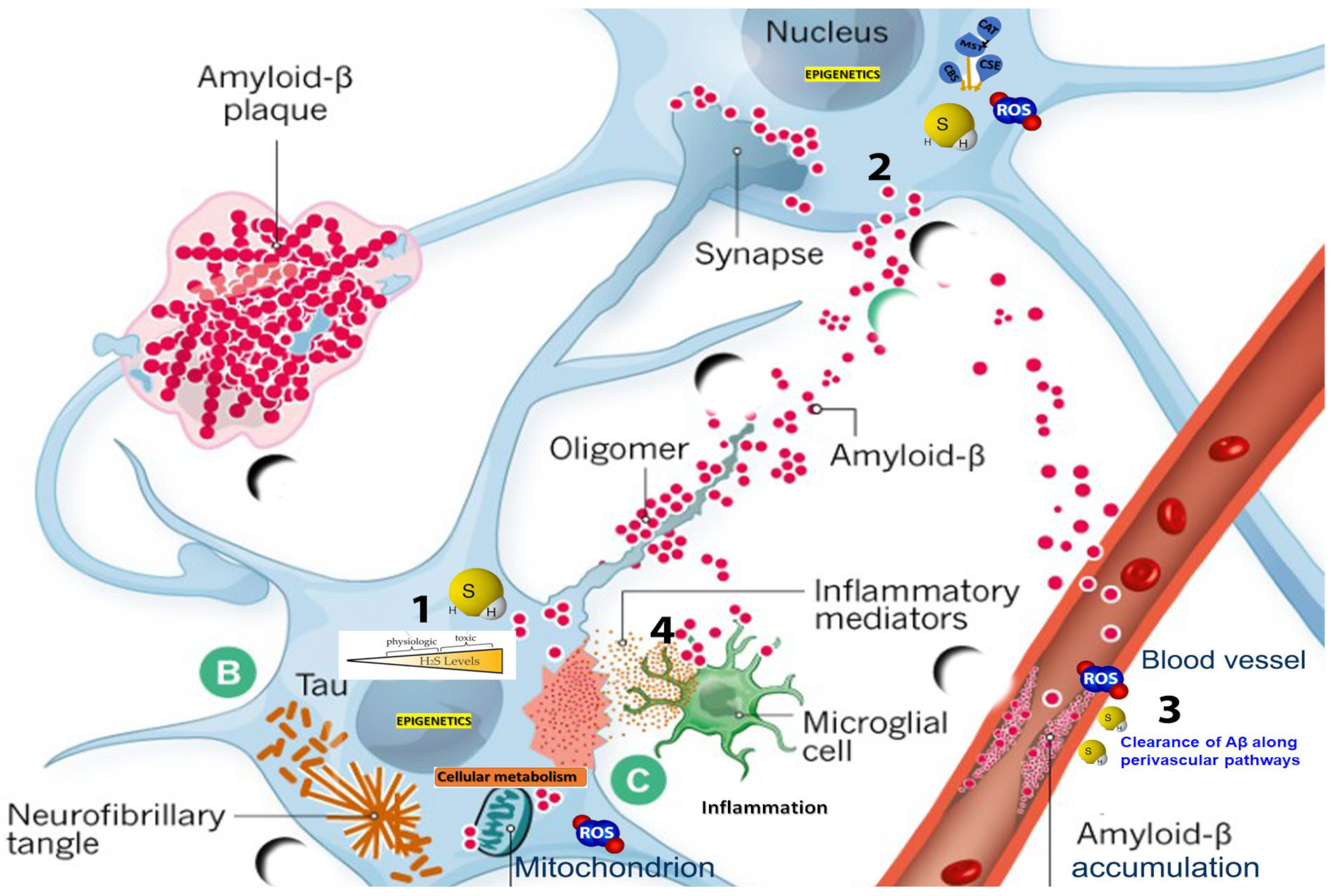 New insights into the genetic etiology of Alzheimer's disease and related  dementias