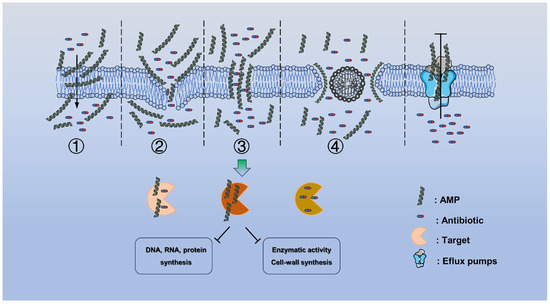 The Combination of Antibiotic and Non-Antibiotic Compounds