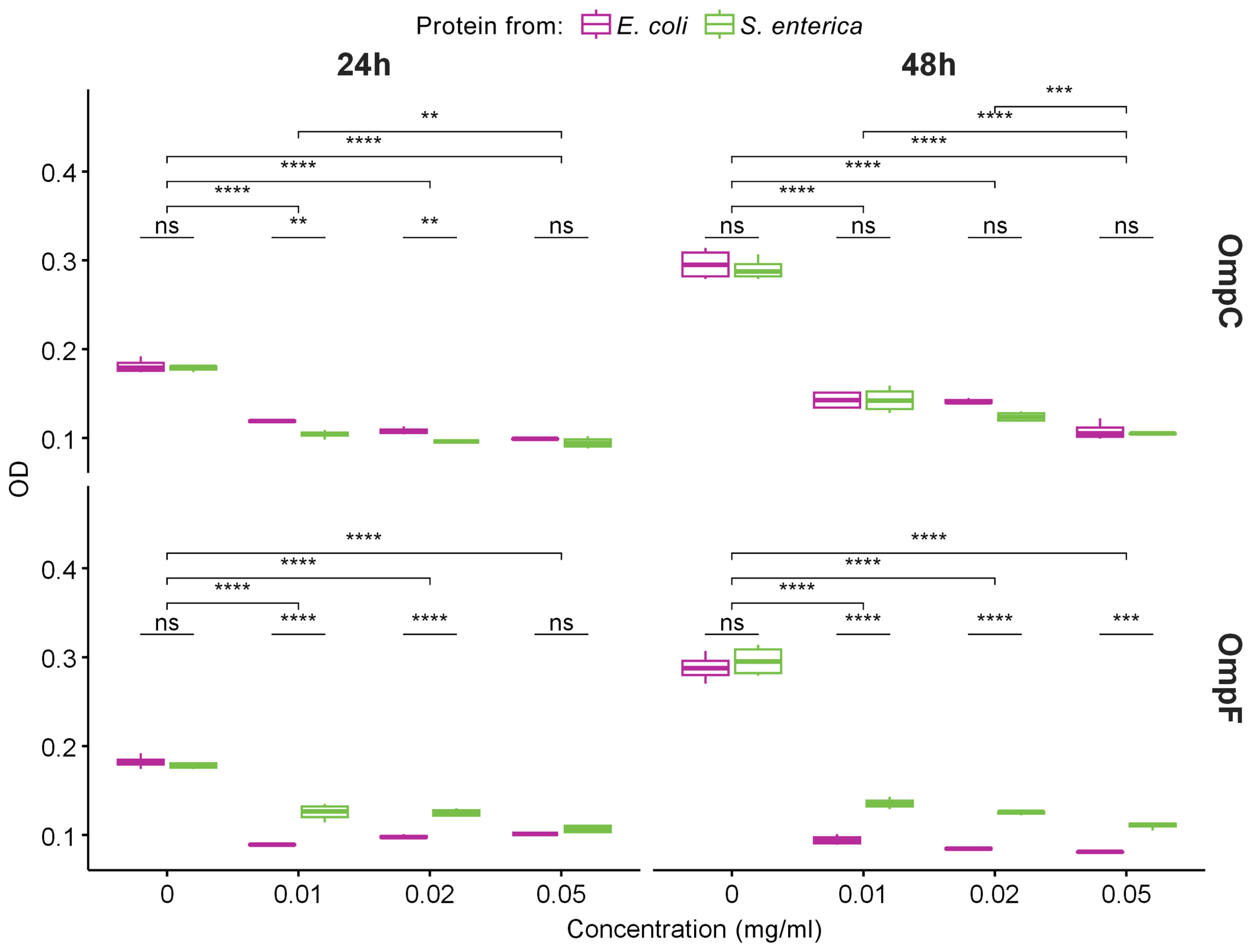 Ijms 24 15522 g004 Ijms 24 15522 g004