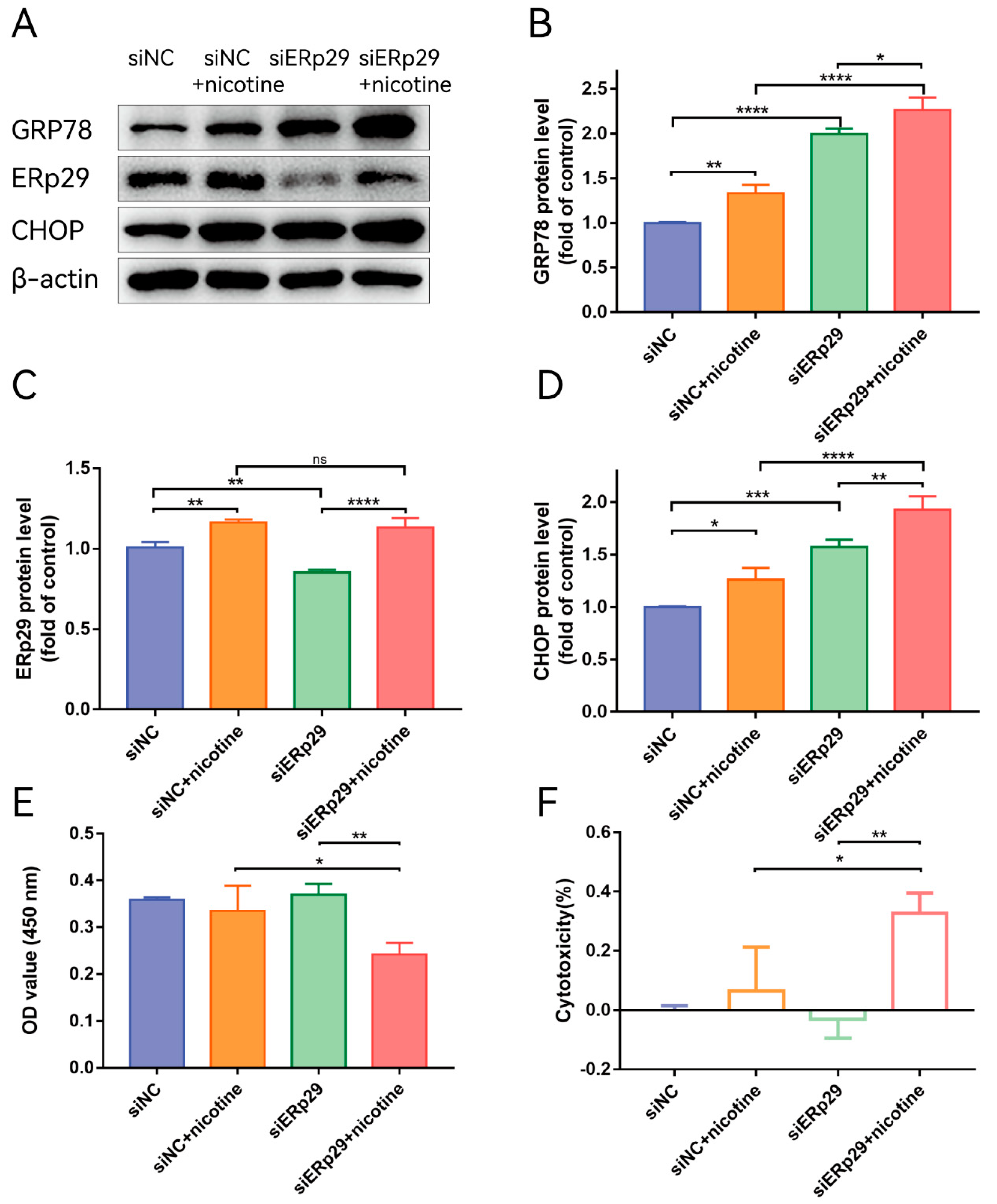 Ijms 24 15523 g003 Ijms 24 15523 g003
