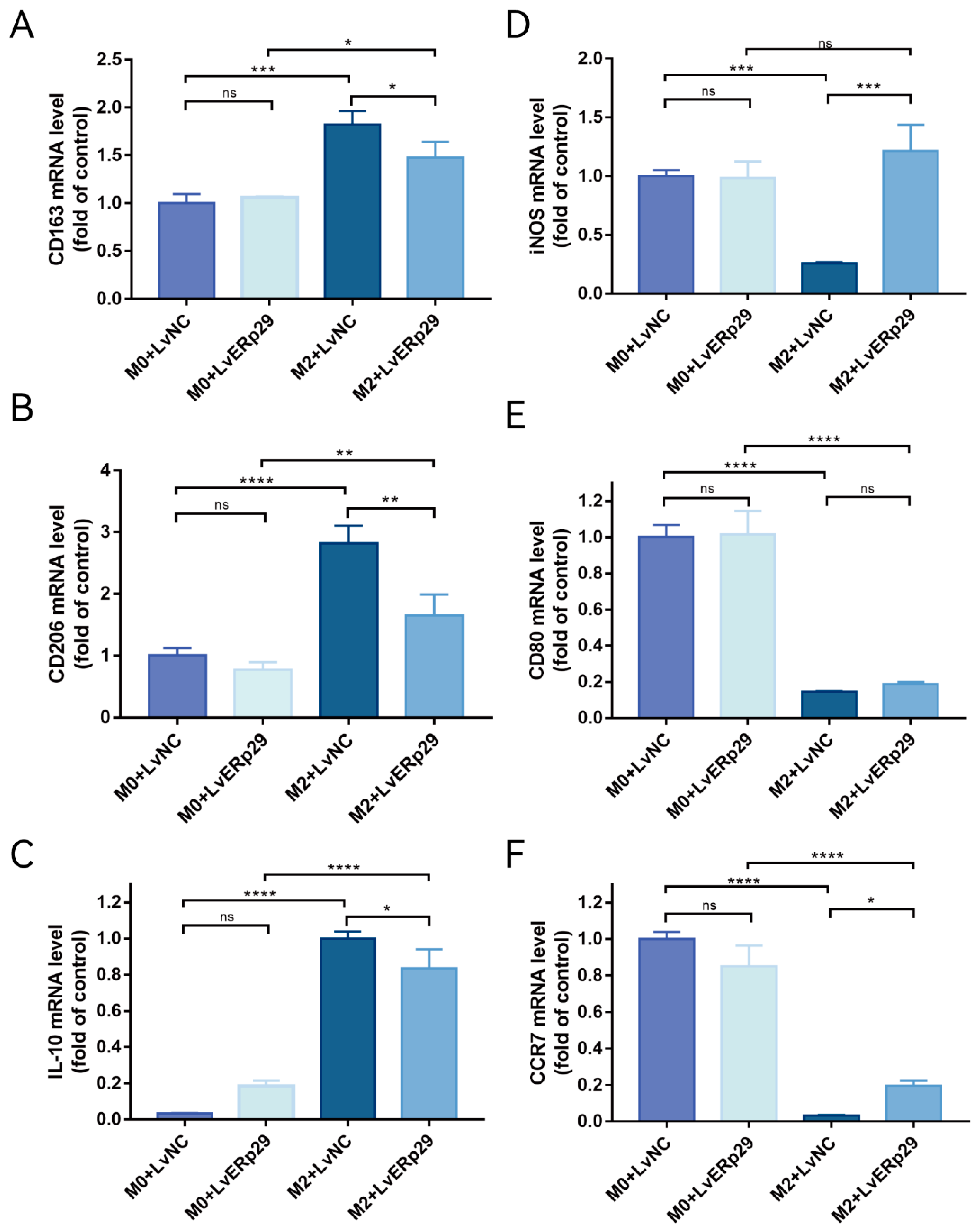Ijms 24 15523 g004 Ijms 24 15523 g004